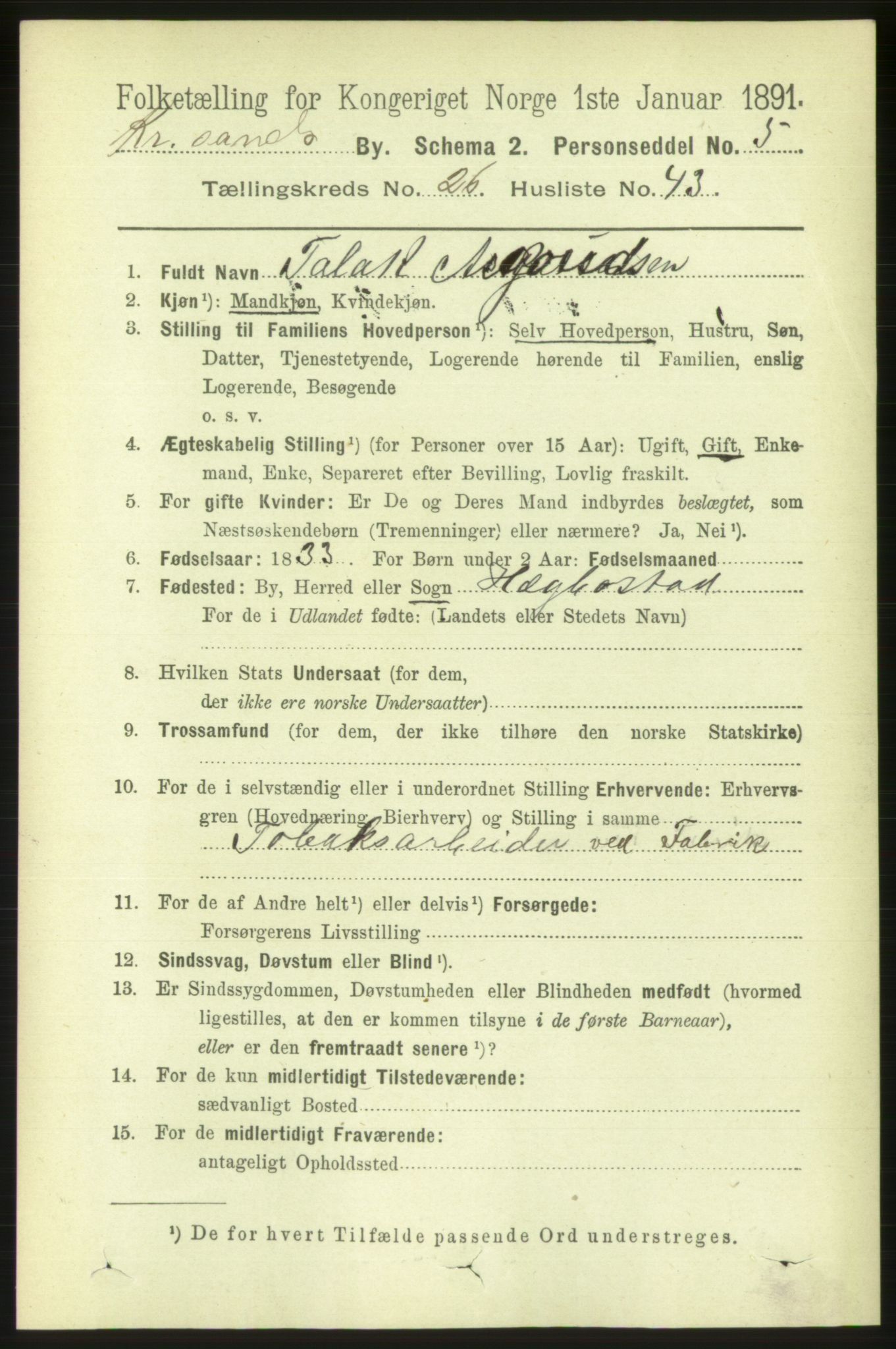 RA, 1891 census for 1001 Kristiansand, 1891, p. 9382