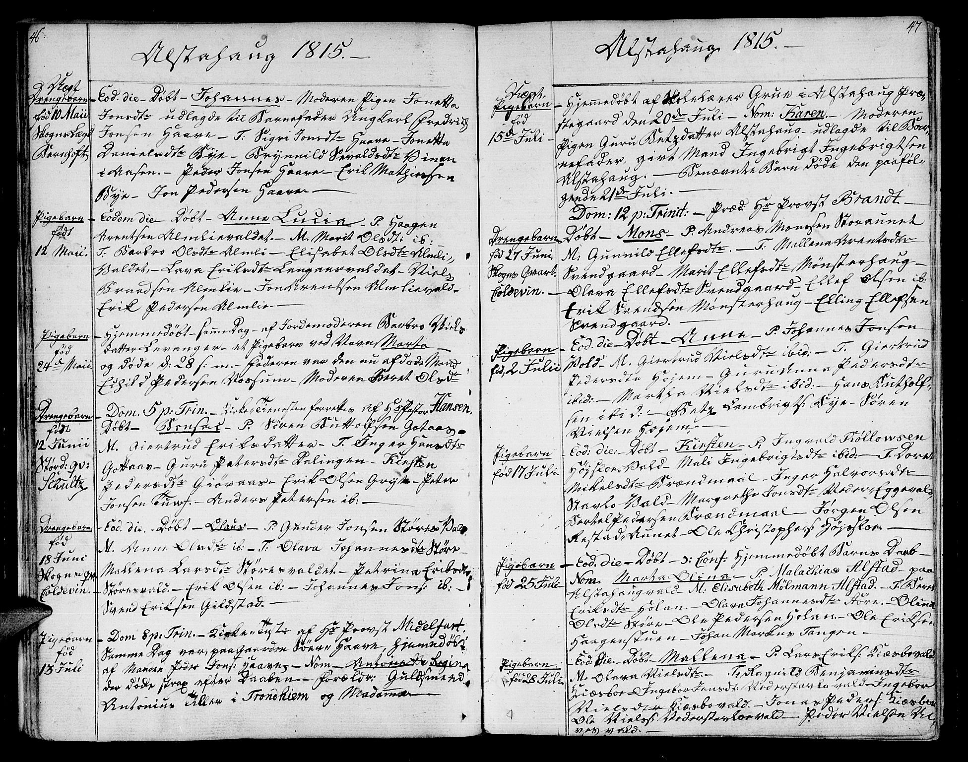 Ministerialprotokoller, klokkerbøker og fødselsregistre - Nord-Trøndelag, AV/SAT-A-1458/717/L0145: Parish register (official) no. 717A03 /1, 1810-1815, p. 46-47