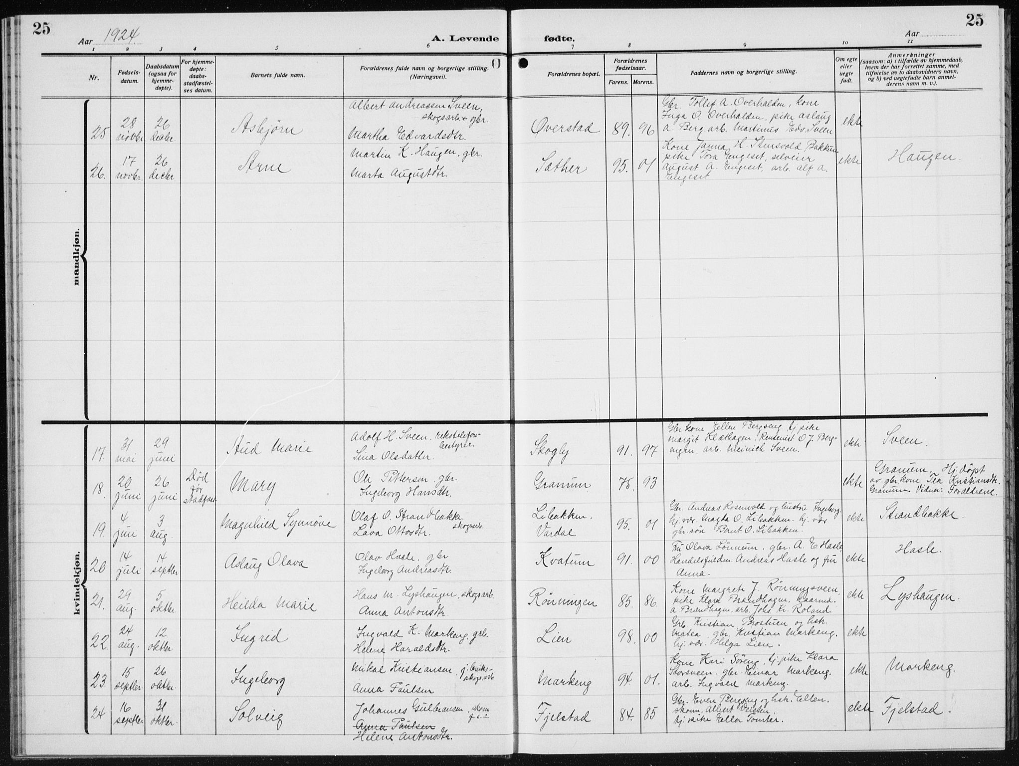Biri prestekontor, SAH/PREST-096/H/Ha/Hab/L0007: Parish register (copy) no. 7, 1919-1941, p. 25