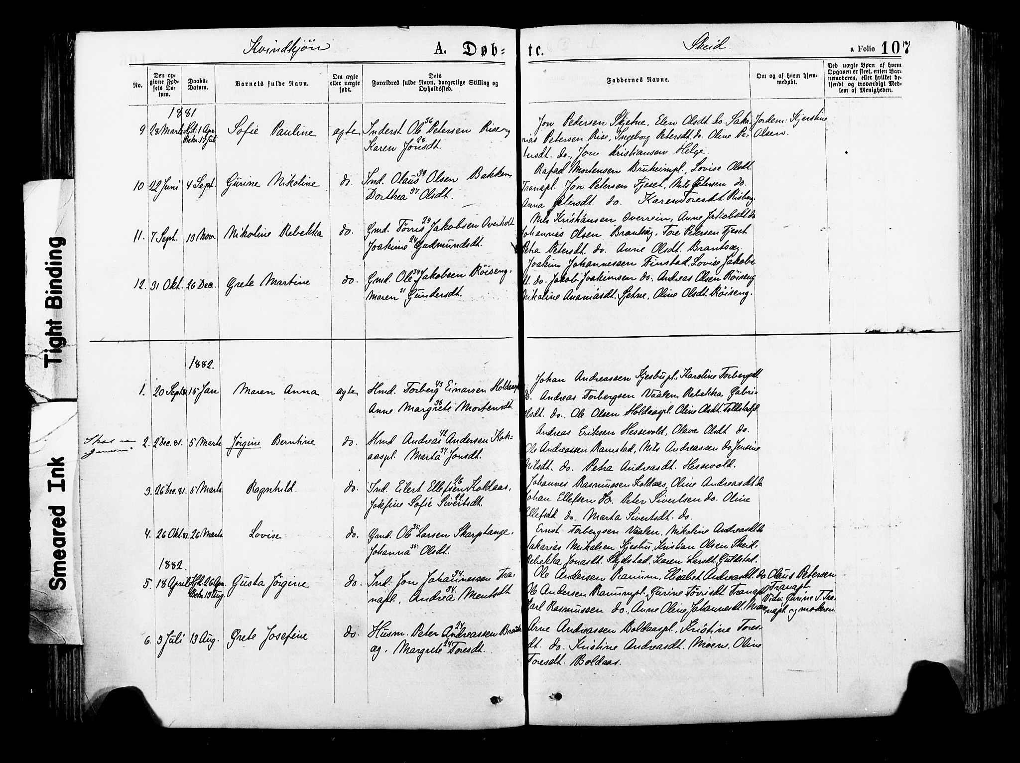 Ministerialprotokoller, klokkerbøker og fødselsregistre - Nord-Trøndelag, SAT/A-1458/735/L0348: Parish register (official) no. 735A09 /2, 1873-1883, p. 107