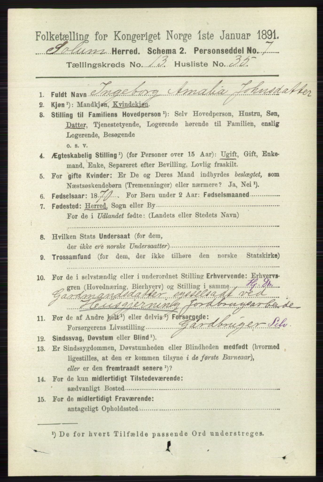 RA, 1891 census for 0818 Solum, 1891, p. 6231