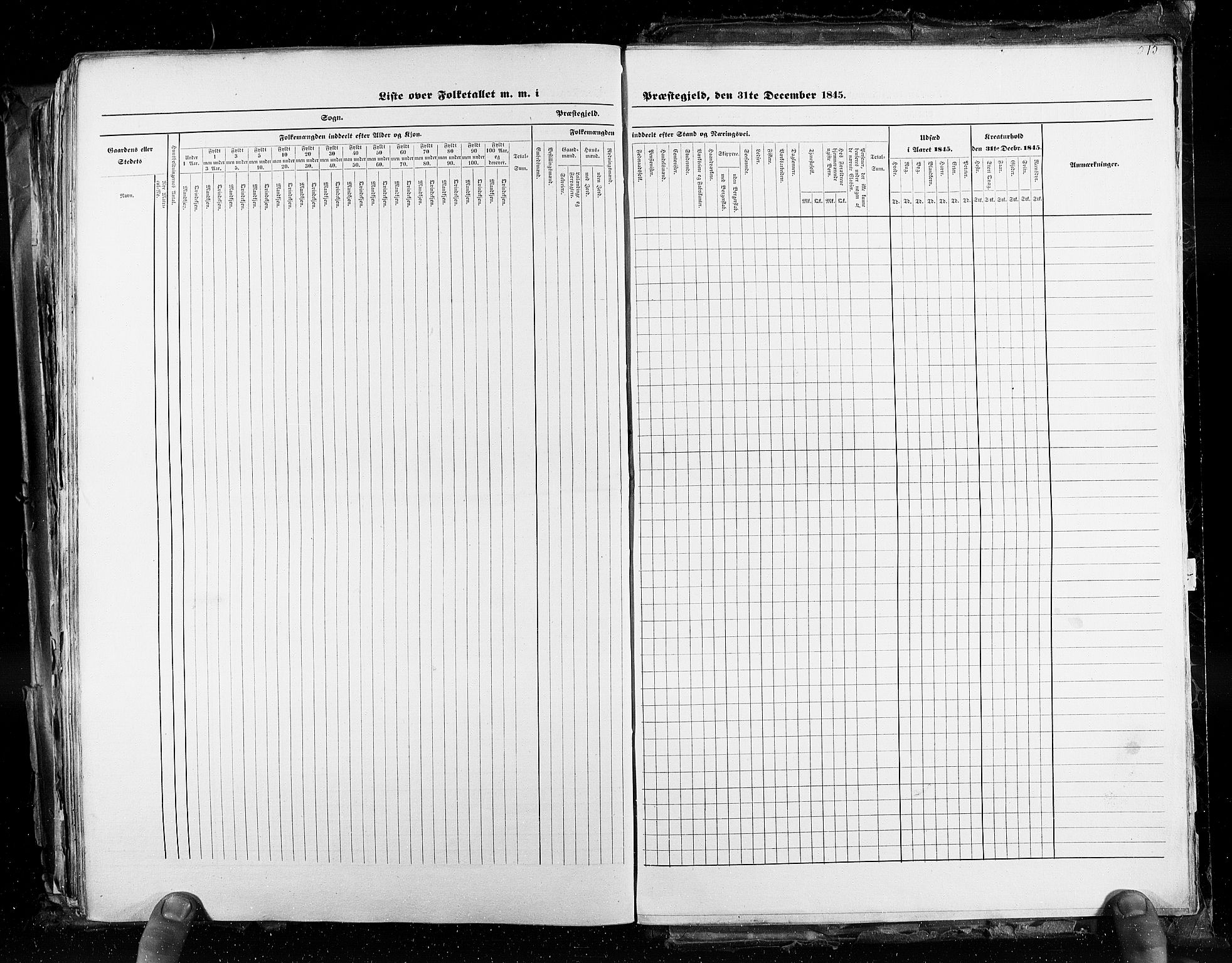 RA, Census 1845, vol. 3: Hedemarken amt og Kristians amt, 1845, p. 515