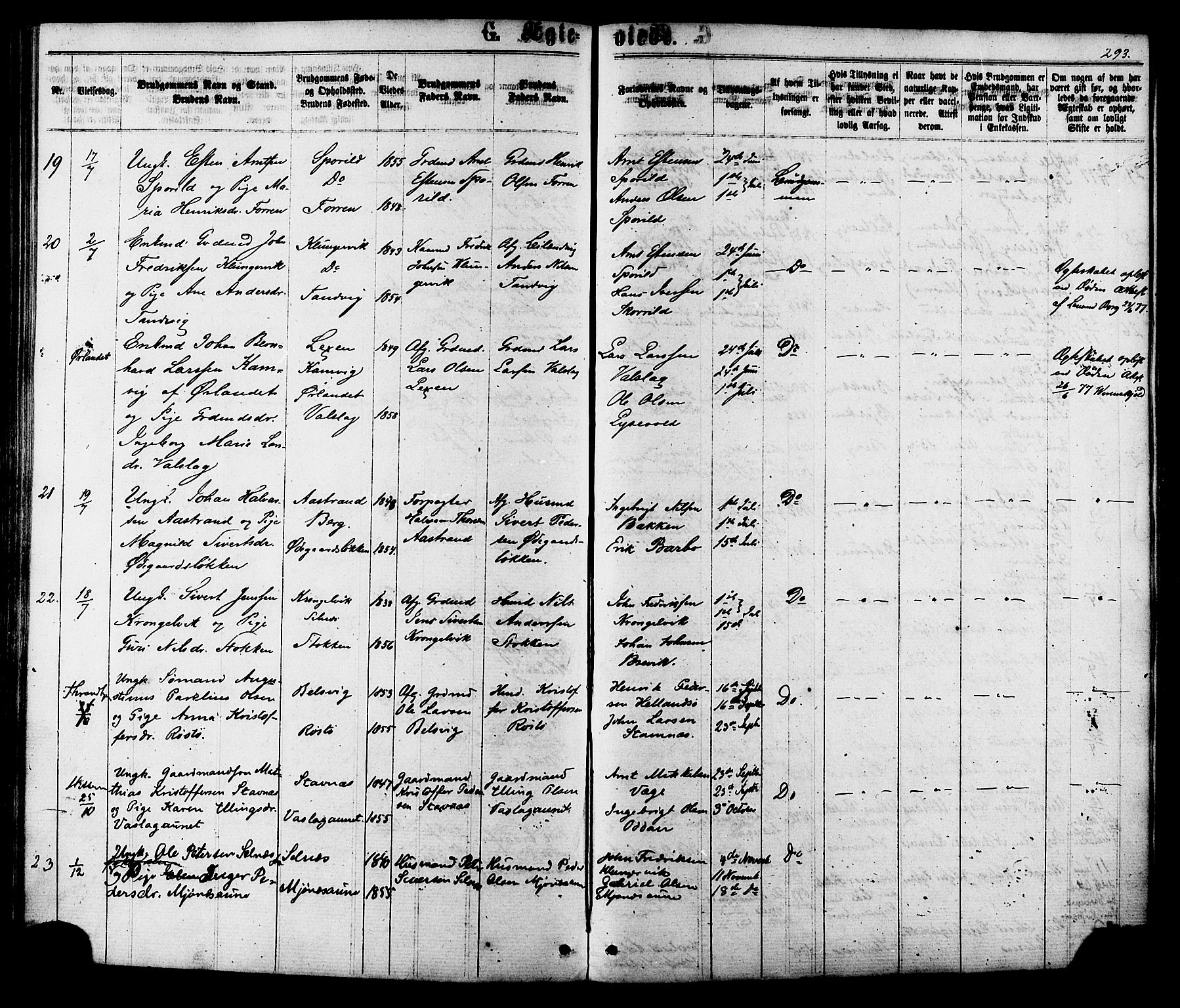 Ministerialprotokoller, klokkerbøker og fødselsregistre - Sør-Trøndelag, SAT/A-1456/630/L0495: Parish register (official) no. 630A08, 1868-1878, p. 293