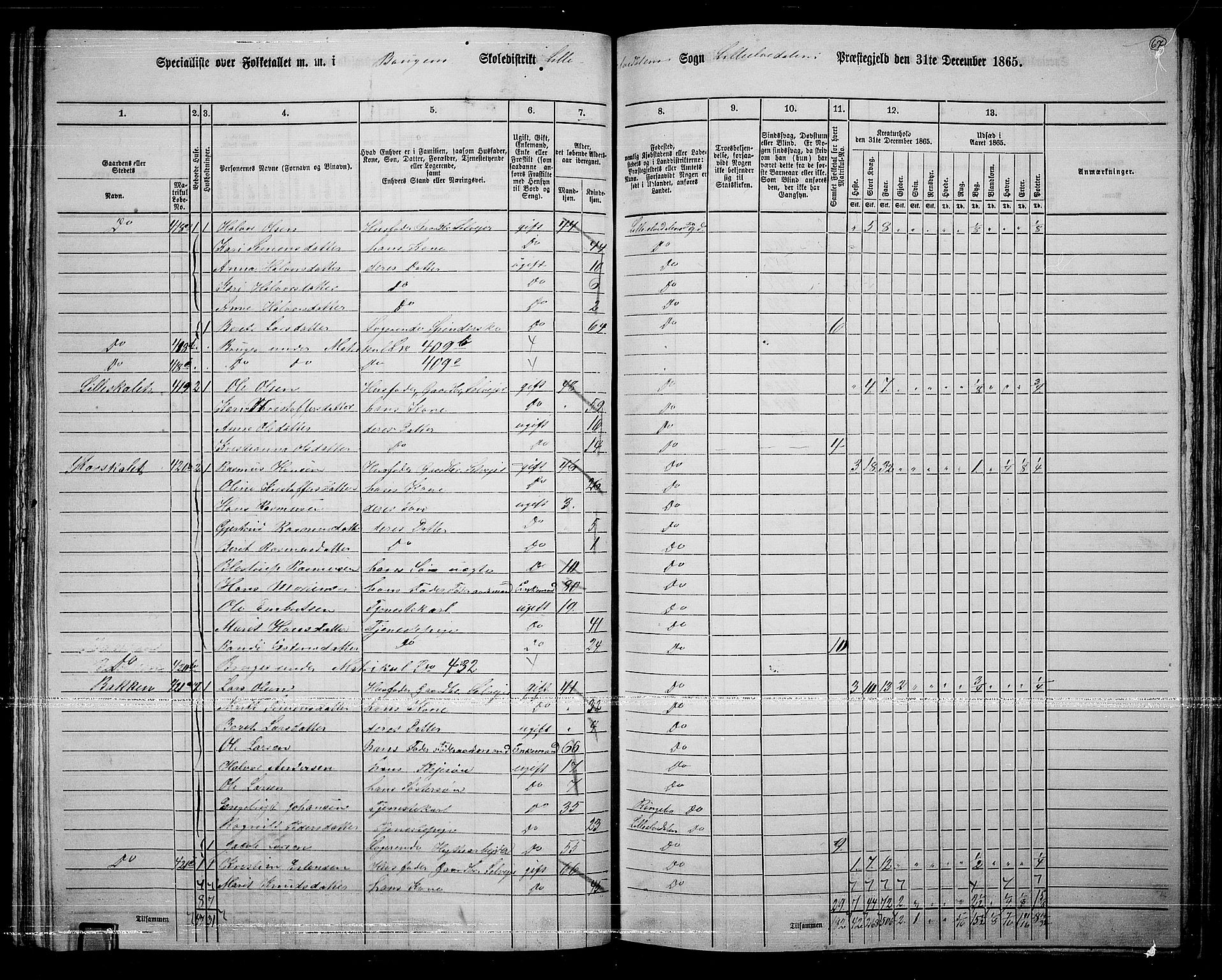 RA, 1865 census for Lille Elvedalen, 1865, p. 61