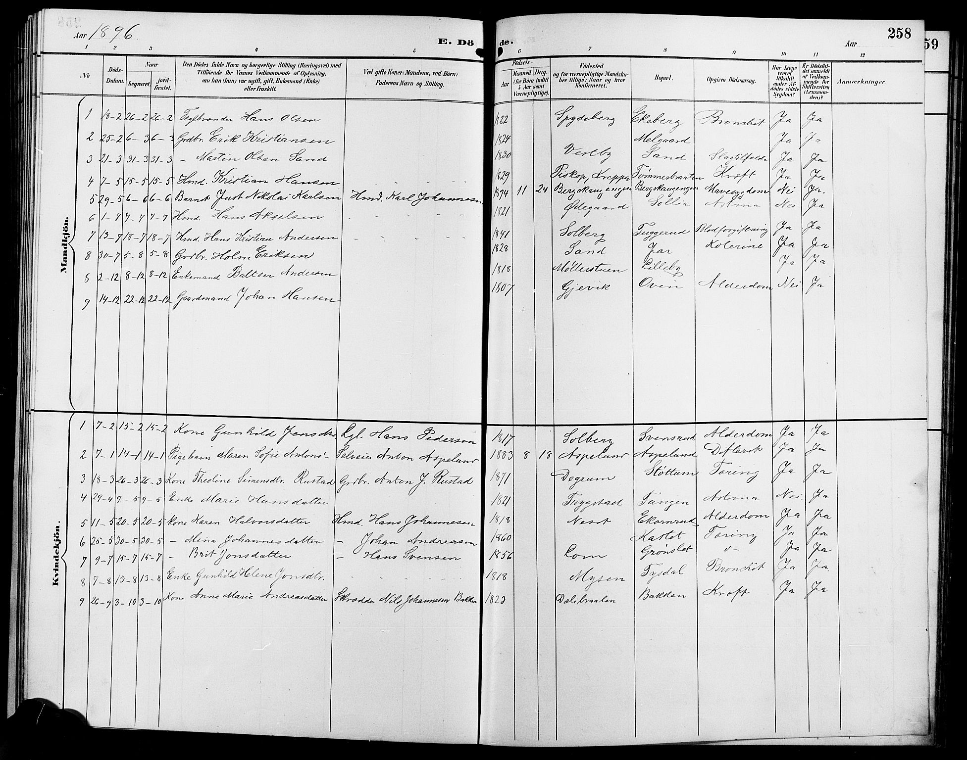 Enebakk prestekontor Kirkebøker, SAO/A-10171c/G/Ga/L0006: Parish register (copy) no. I 6, 1889-1911, p. 258
