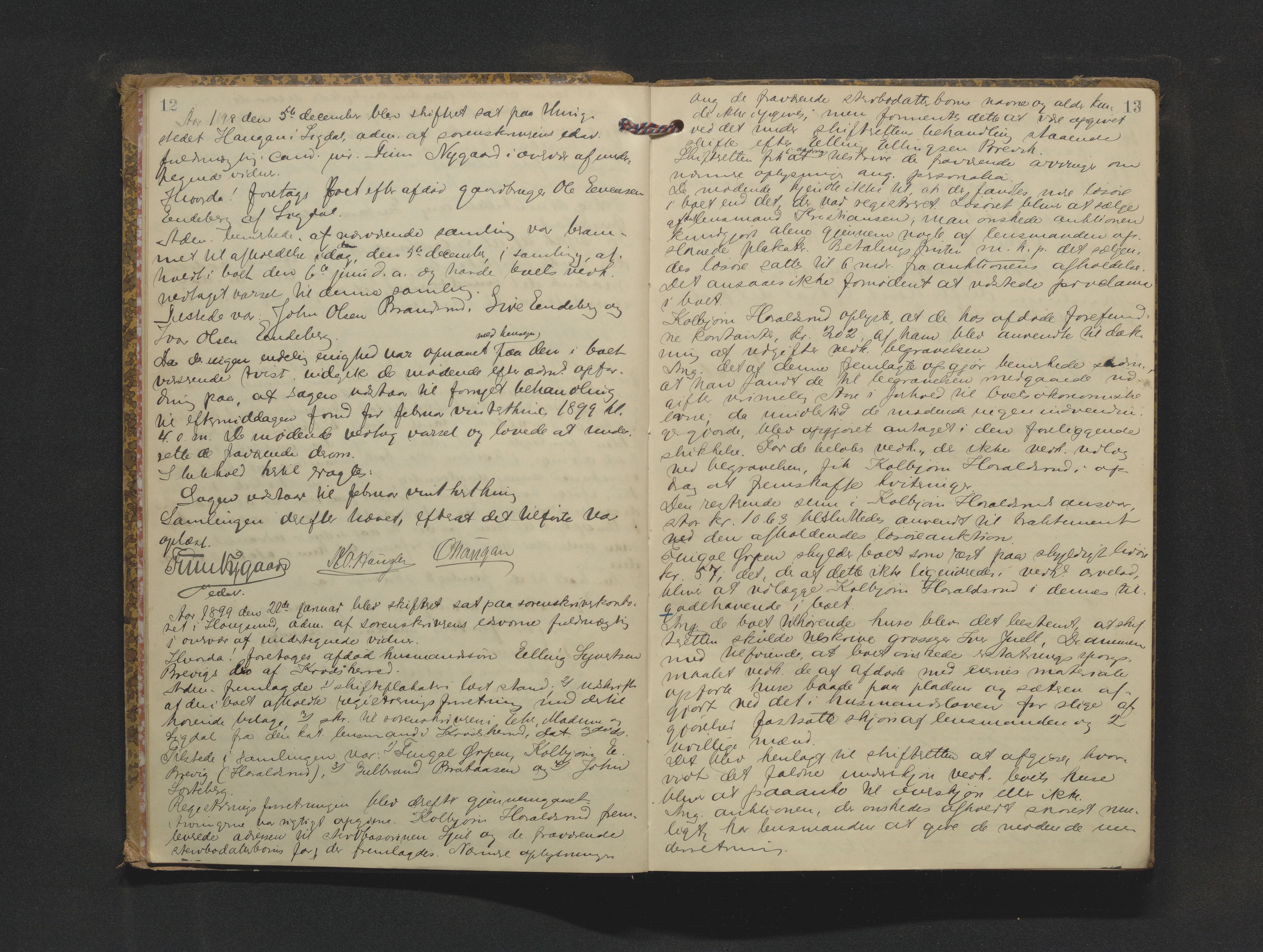 Eiker, Modum og Sigdal sorenskriveri, AV/SAKO-A-123/H/Hb/Hbb/Hbbd/L0005: Registrerings- og forhandlingsprotokoll, 1898-1908, p. 12-13