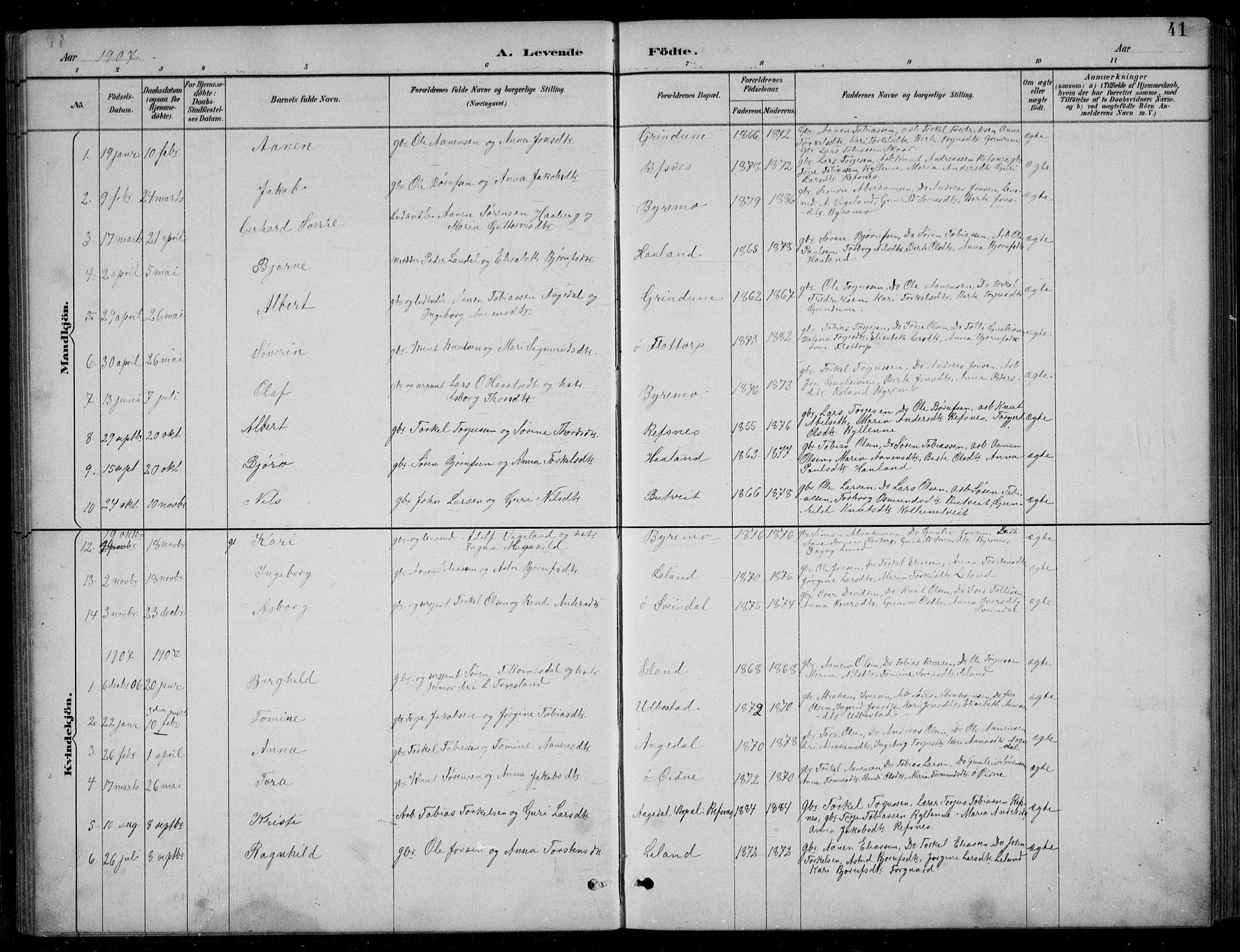 Bjelland sokneprestkontor, SAK/1111-0005/F/Fb/Fbc/L0003: Parish register (copy) no. B 3, 1887-1924, p. 41