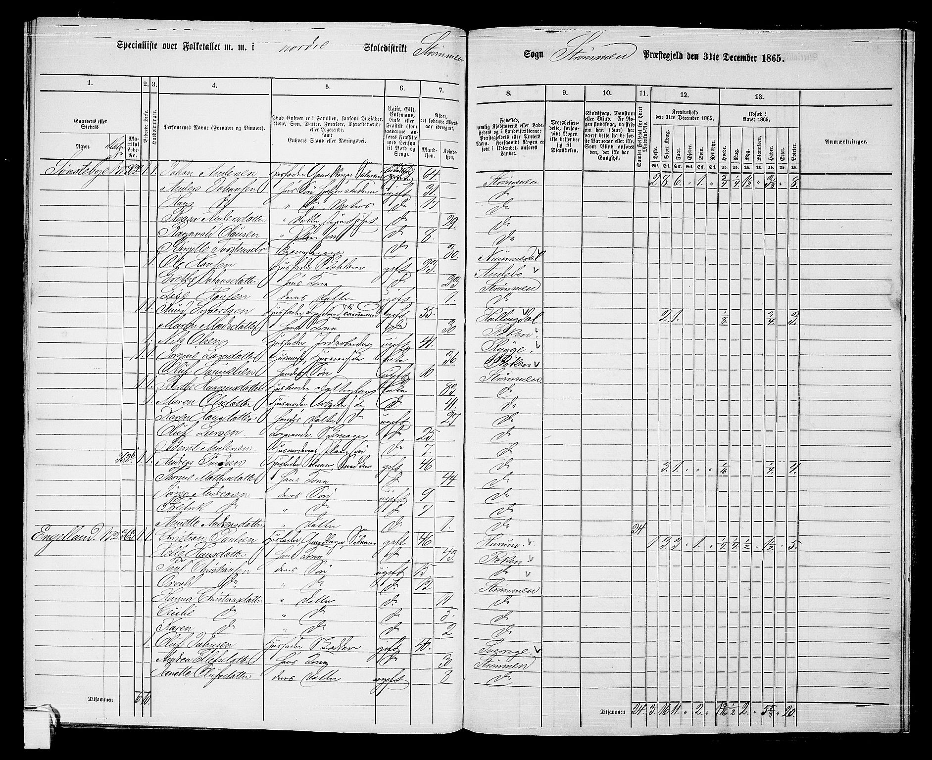 RA, 1865 census for Strømm, 1865, p. 37