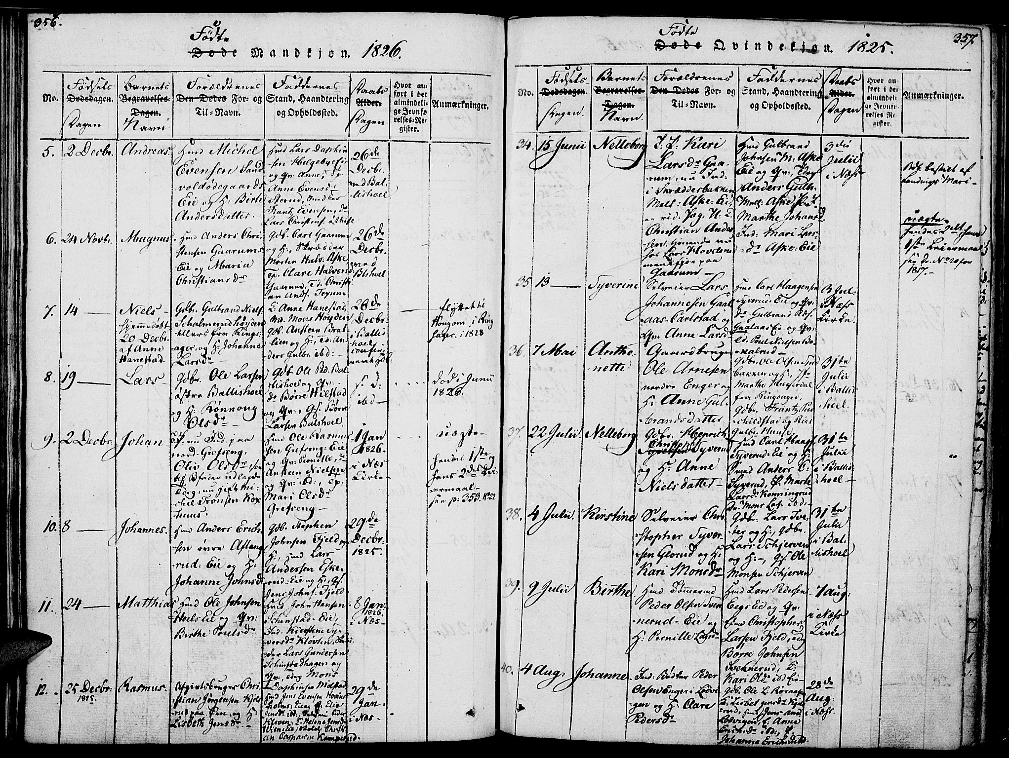 Nes prestekontor, Hedmark, SAH/PREST-020/K/Ka/L0002: Parish register (official) no. 2, 1813-1827, p. 356-357