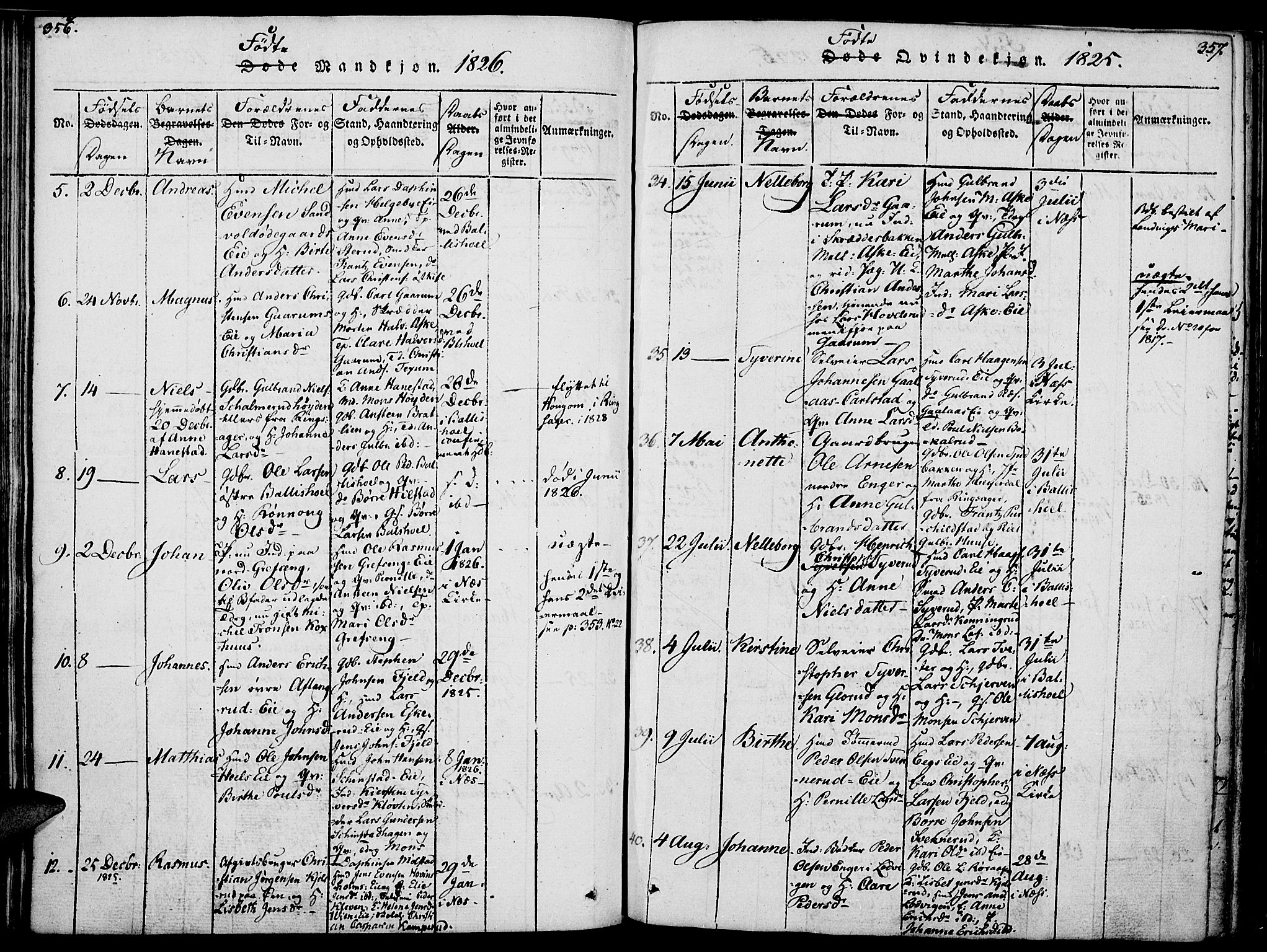 Nes prestekontor, Hedmark, AV/SAH-PREST-020/K/Ka/L0002: Parish register (official) no. 2, 1813-1827, p. 356-357