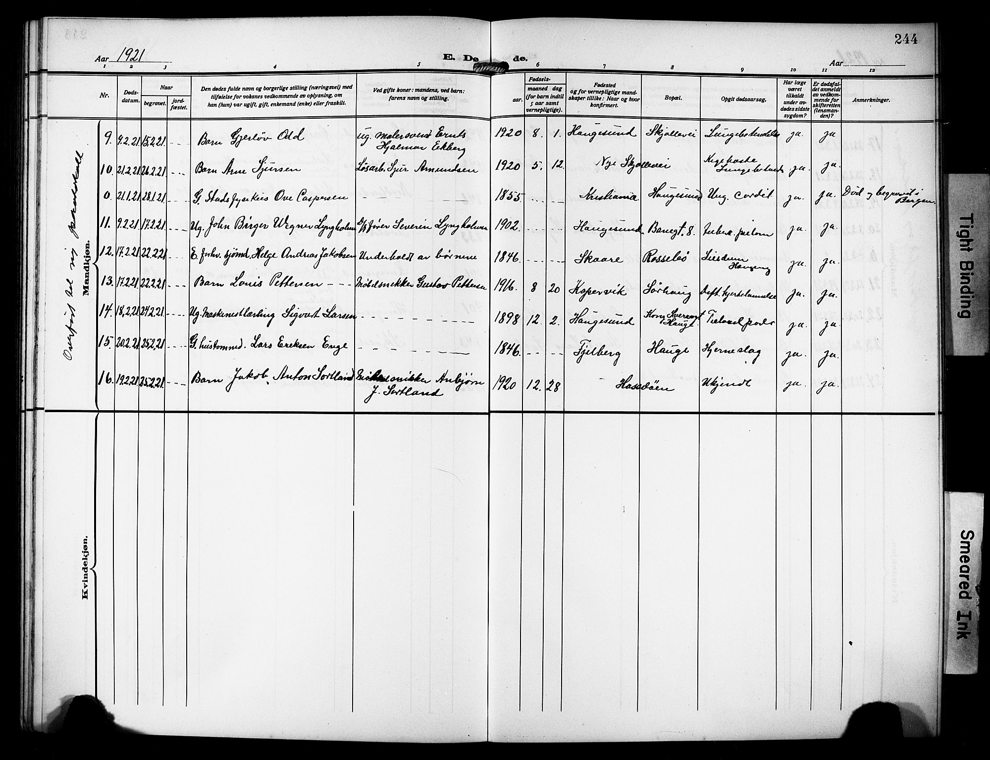 Haugesund sokneprestkontor, AV/SAST-A -101863/H/Ha/Hab/L0008: Parish register (copy) no. B 8, 1909-1921, p. 244