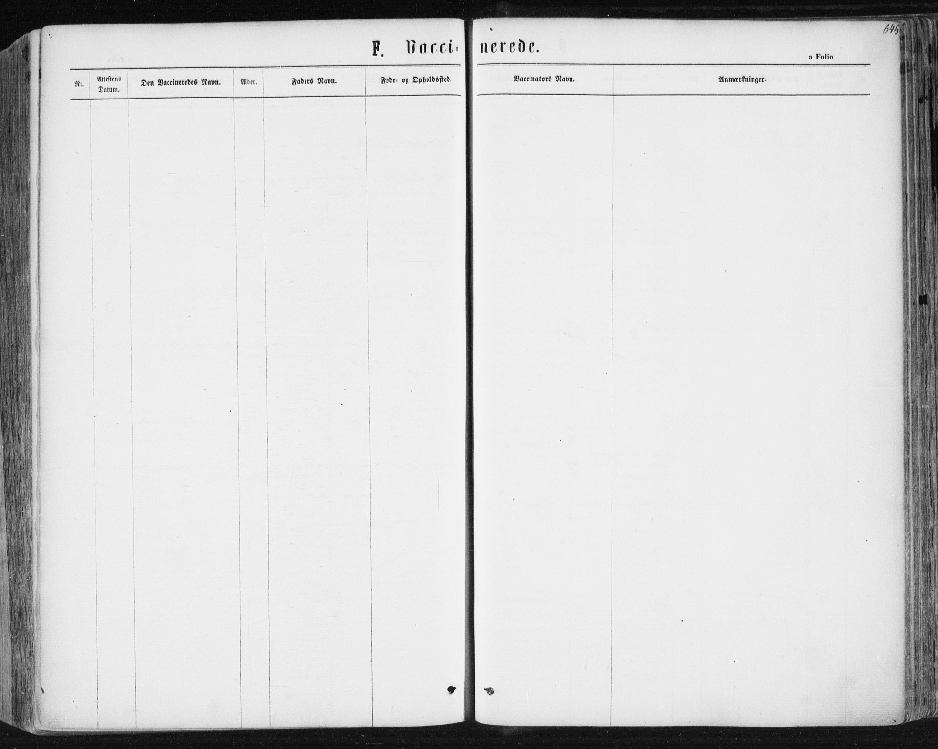 Ministerialprotokoller, klokkerbøker og fødselsregistre - Sør-Trøndelag, SAT/A-1456/604/L0186: Parish register (official) no. 604A07, 1866-1877, p. 645