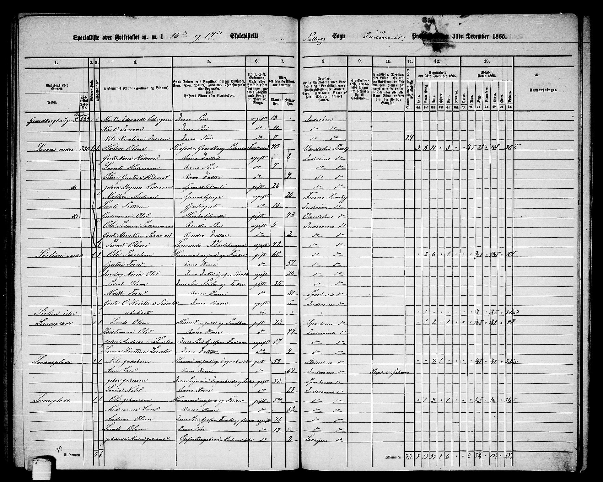 RA, 1865 census for Inderøy, 1865, p. 206