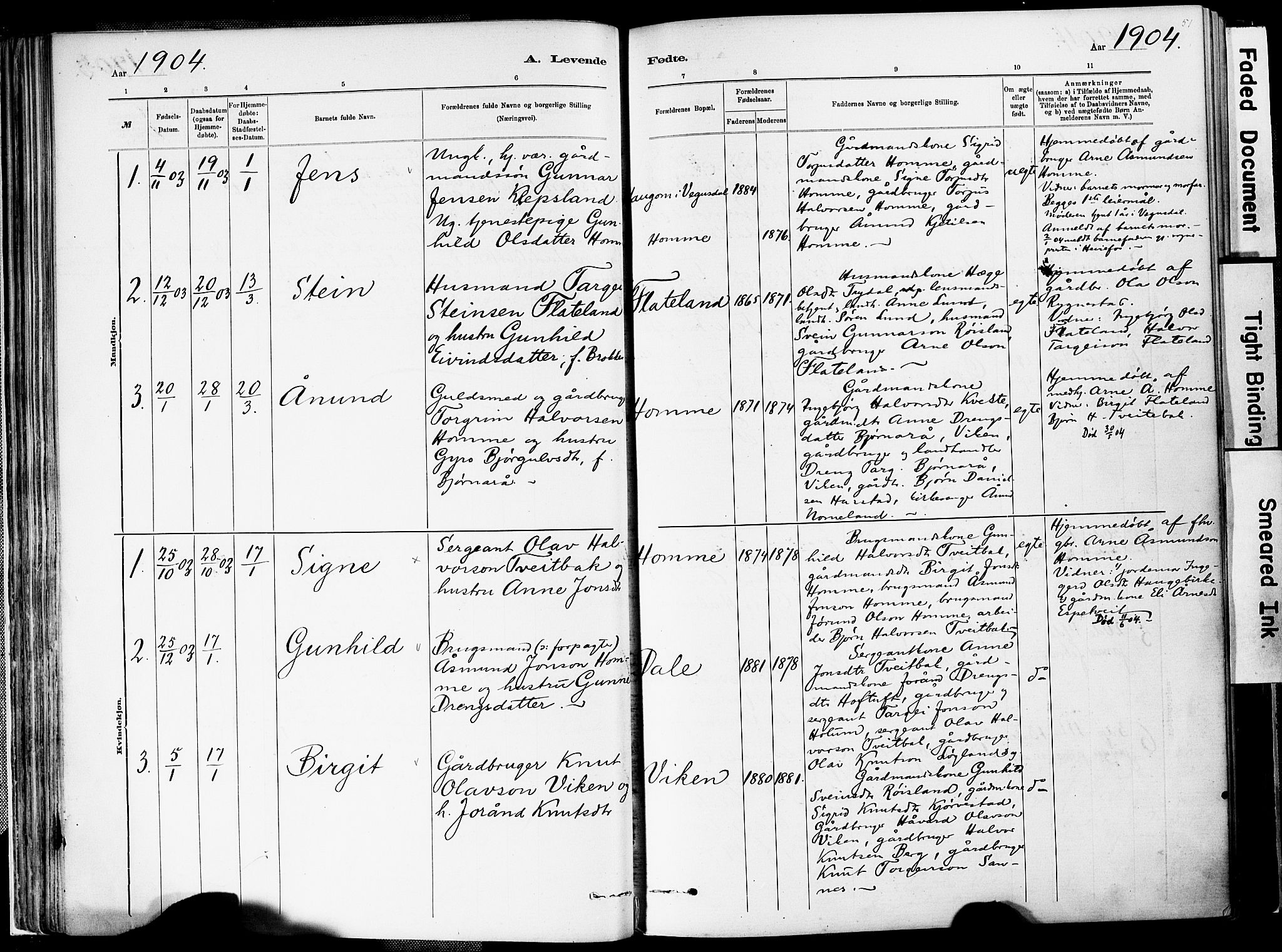 Valle sokneprestkontor, AV/SAK-1111-0044/F/Fa/Fac/L0009: Parish register (official) no. A 9, 1882-1913, p. 51