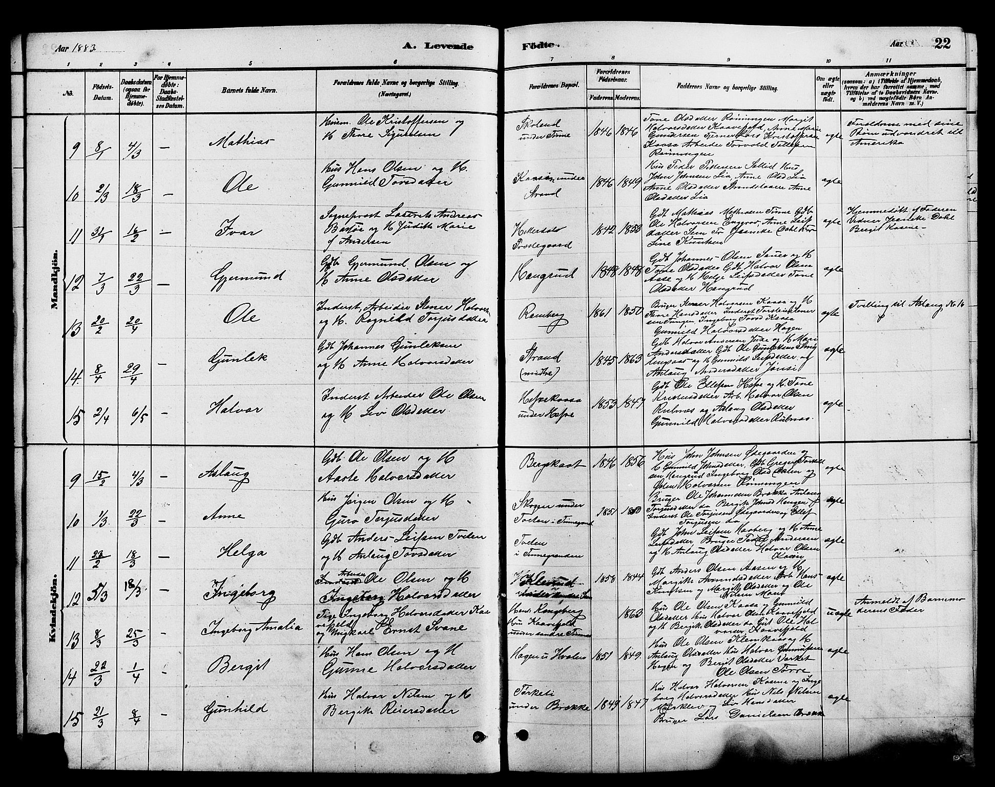 Heddal kirkebøker, SAKO/A-268/G/Ga/L0002: Parish register (copy) no. I 2, 1879-1908, p. 22