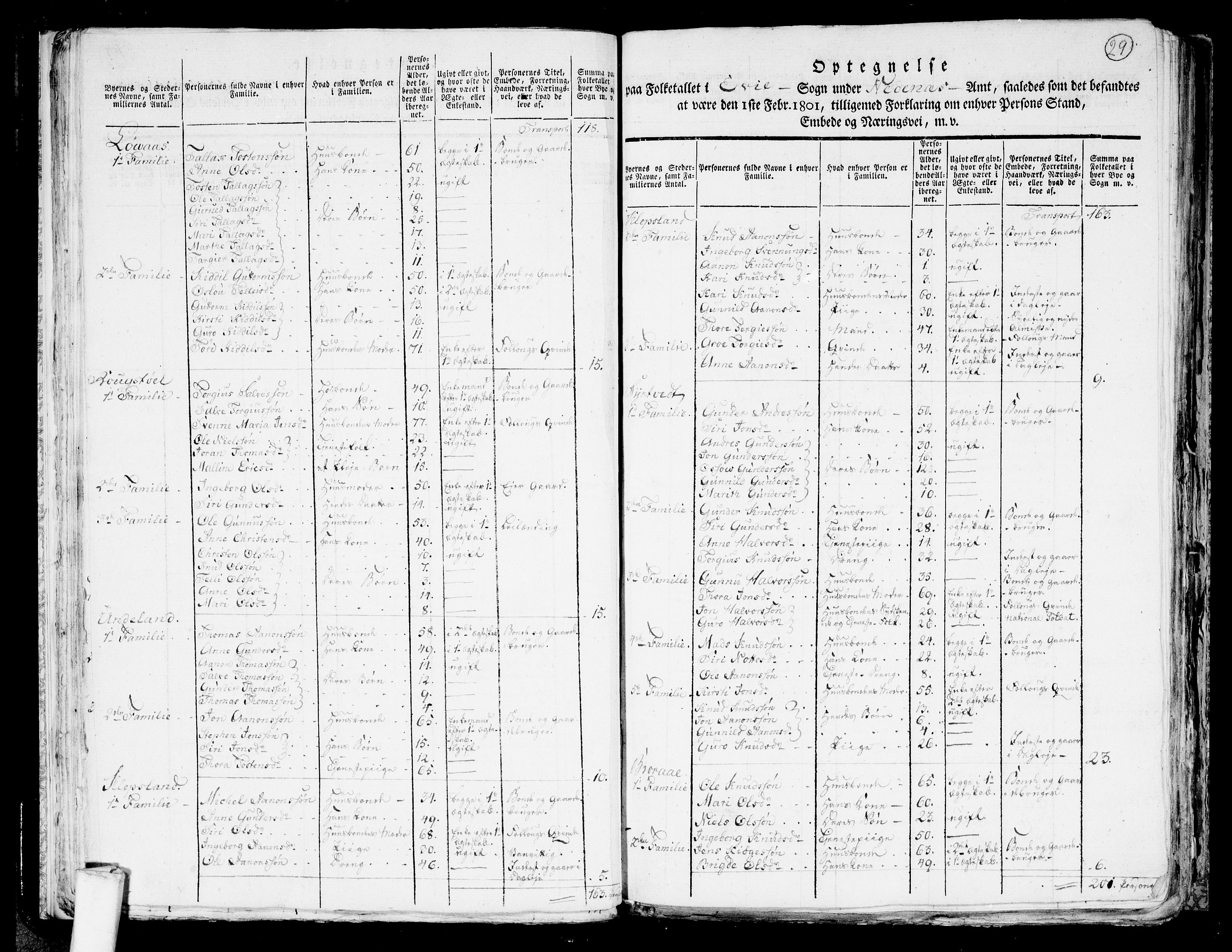 RA, 1801 census for 0934P Evje, 1801, p. 28b-29a