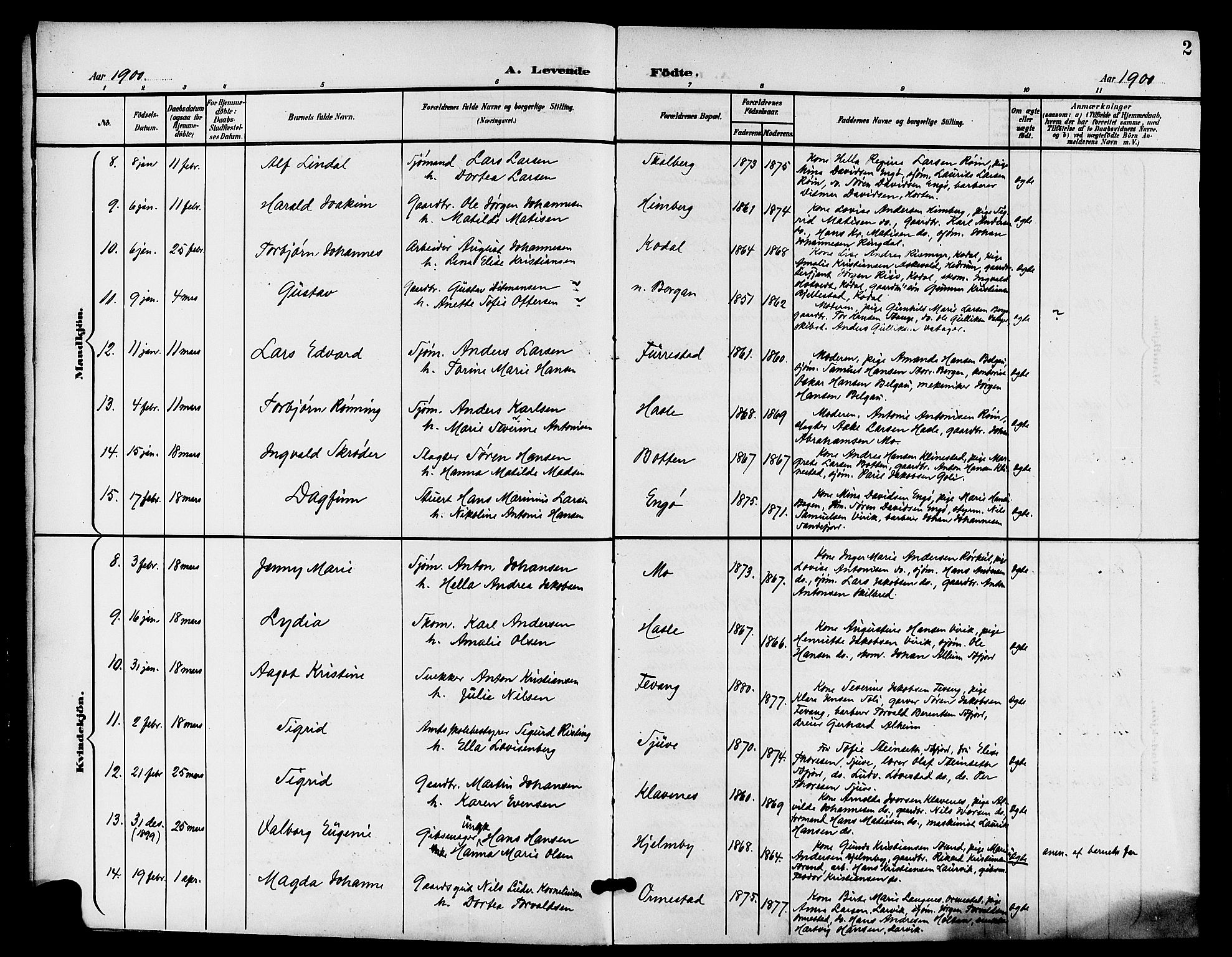 Sandar kirkebøker, AV/SAKO-A-243/G/Ga/L0002: Parish register (copy) no. 2, 1900-1915, p. 2