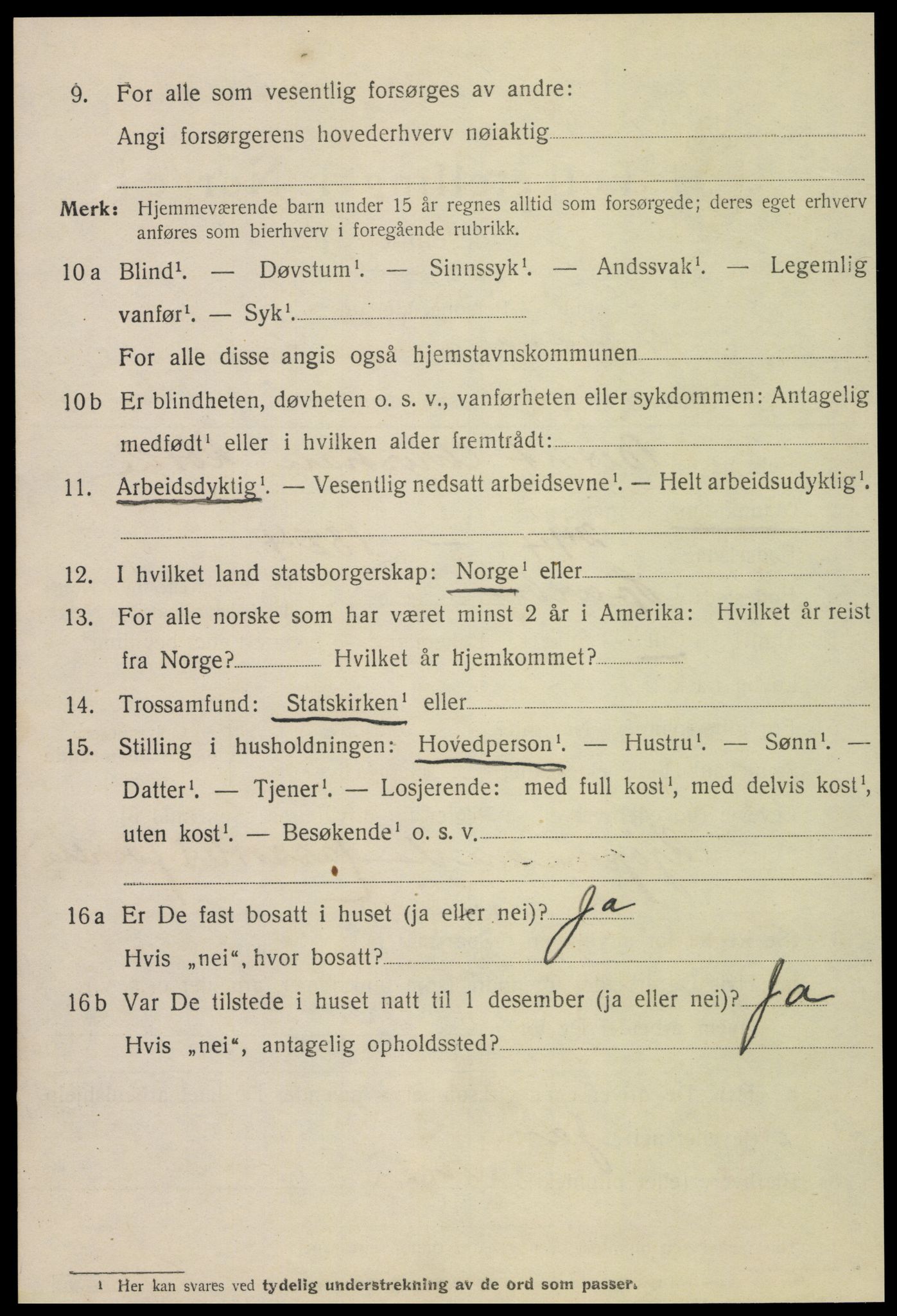 SAT, 1920 census for Namsos, 1920, p. 3732