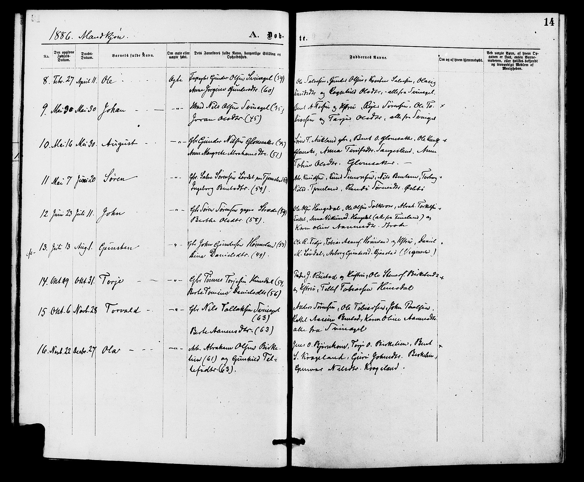 Holum sokneprestkontor, AV/SAK-1111-0022/F/Fa/Fab/L0006: Parish register (official) no. A 6, 1875-1886, p. 14