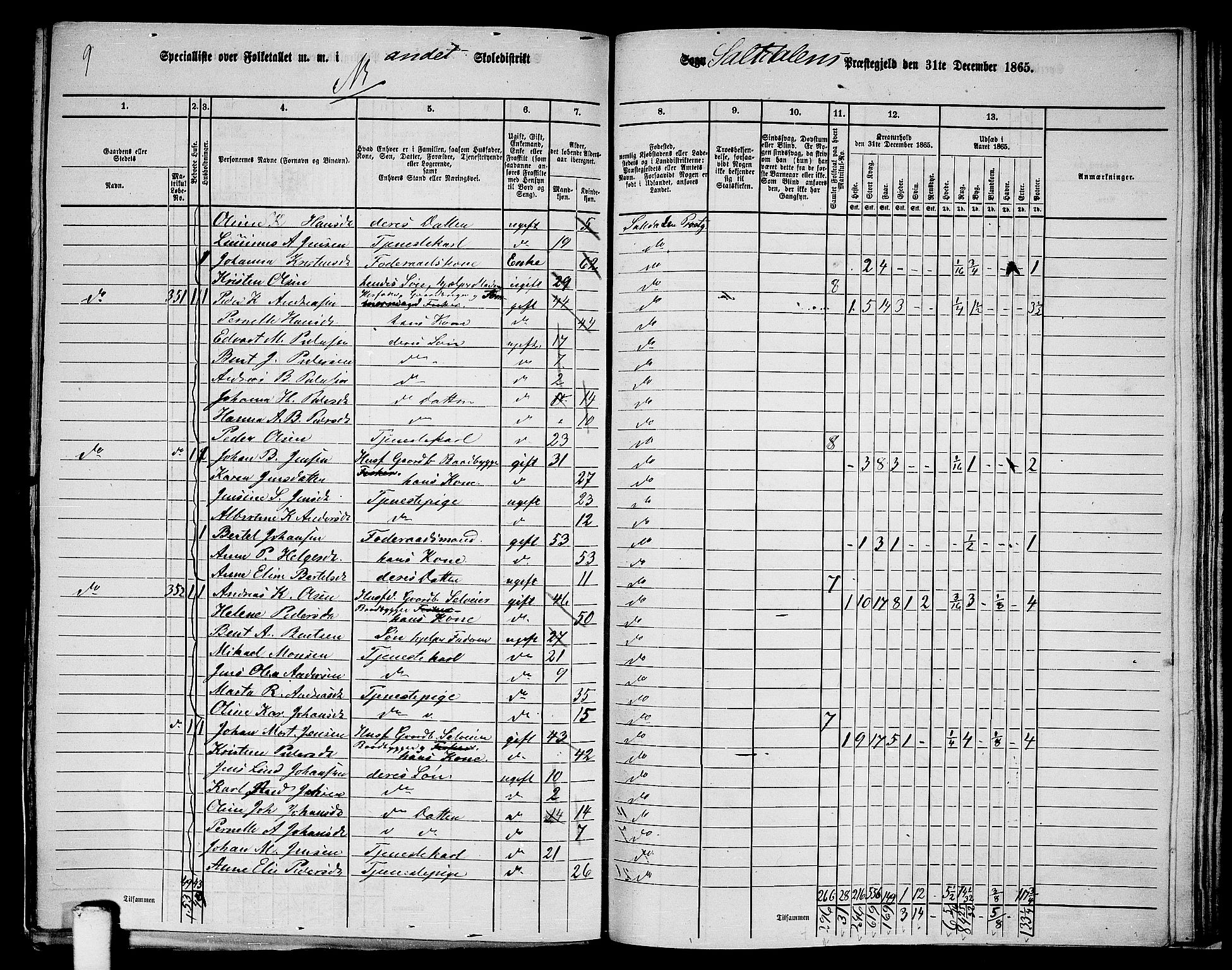 RA, 1865 census for Saltdal, 1865, p. 37