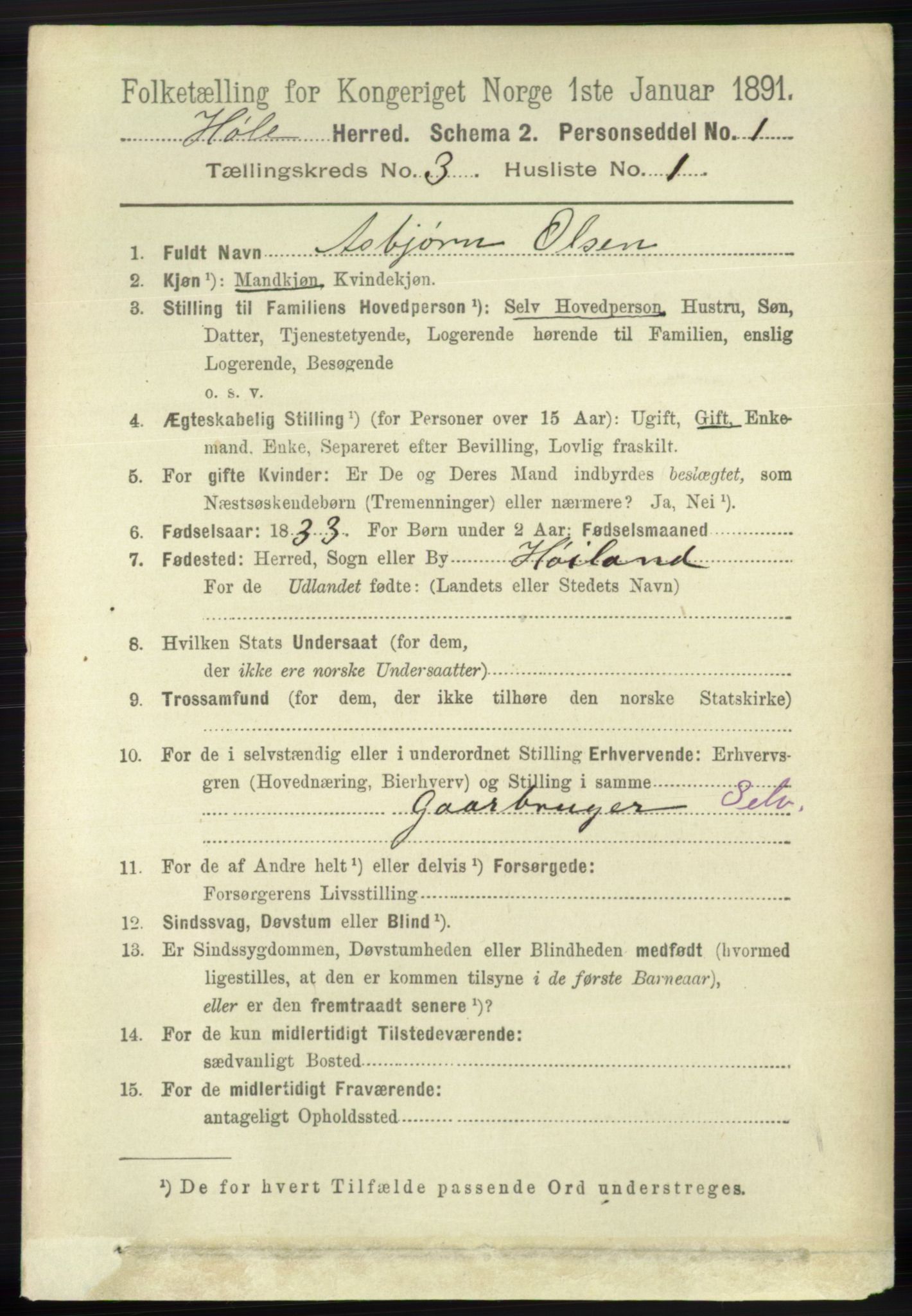 RA, 1891 census for 1128 Høle, 1891, p. 649