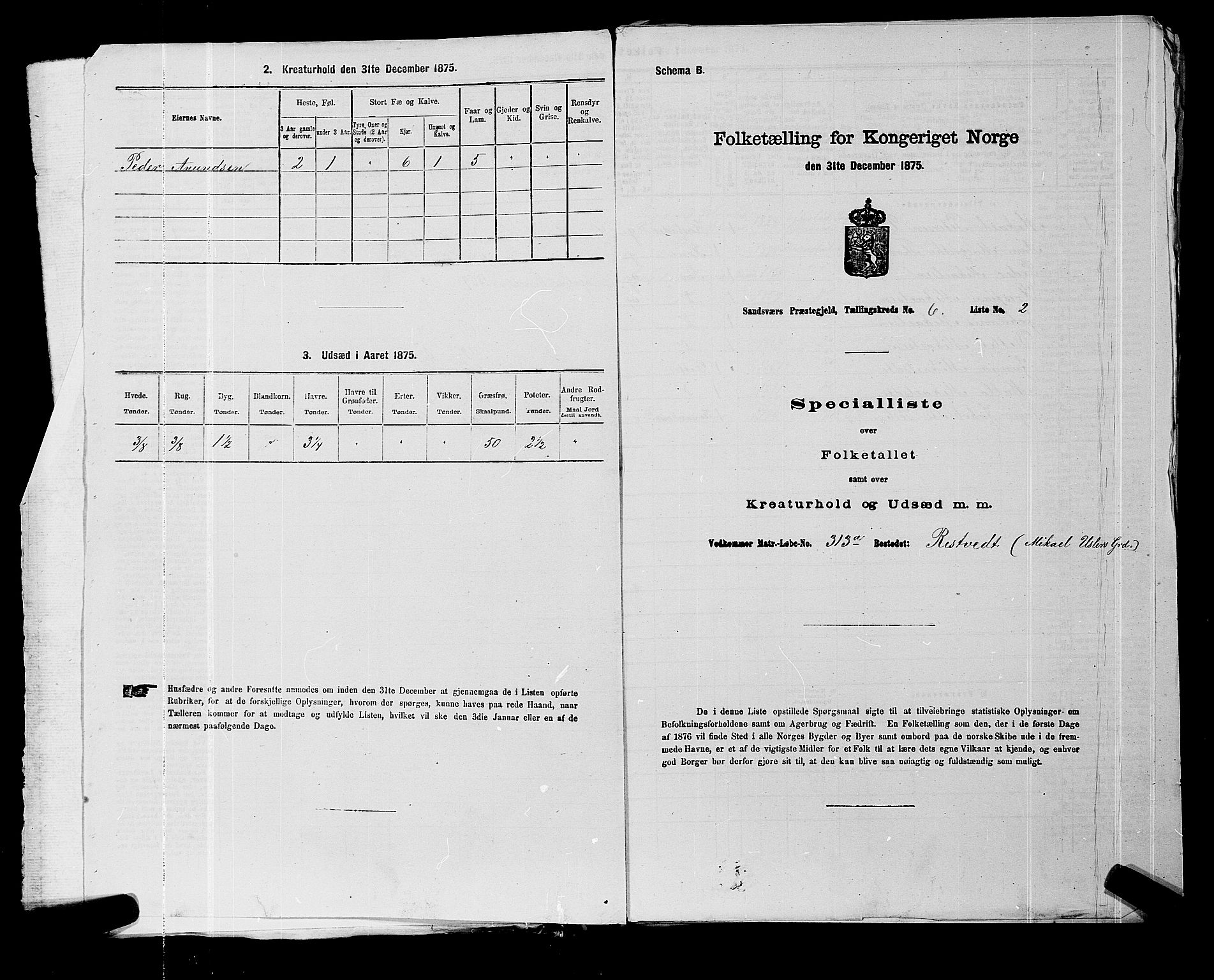 SAKO, 1875 census for 0629P Sandsvær, 1875, p. 1126