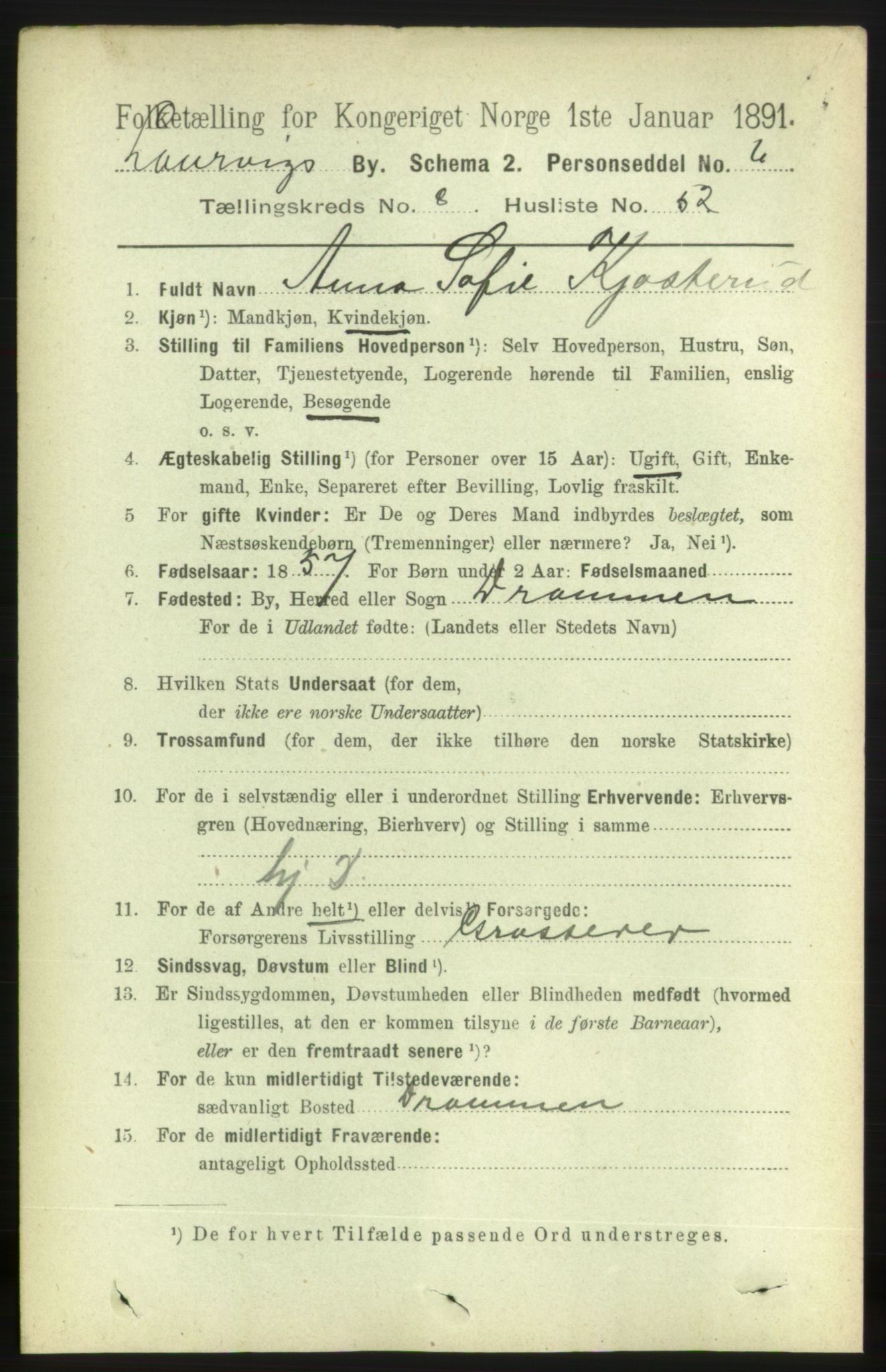 RA, 1891 census for 0707 Larvik, 1891, p. 8453