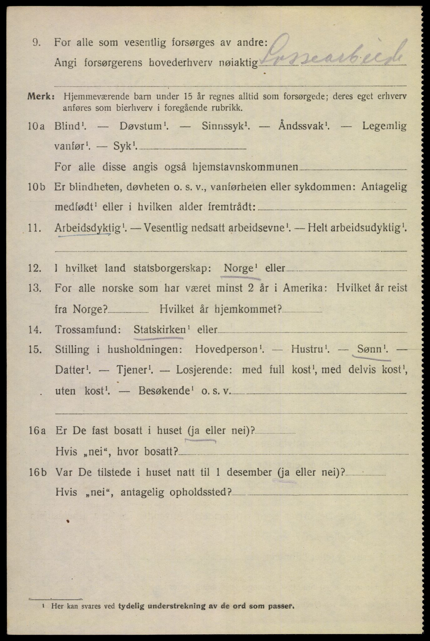 SAKO, 1920 census for Skien, 1920, p. 45083