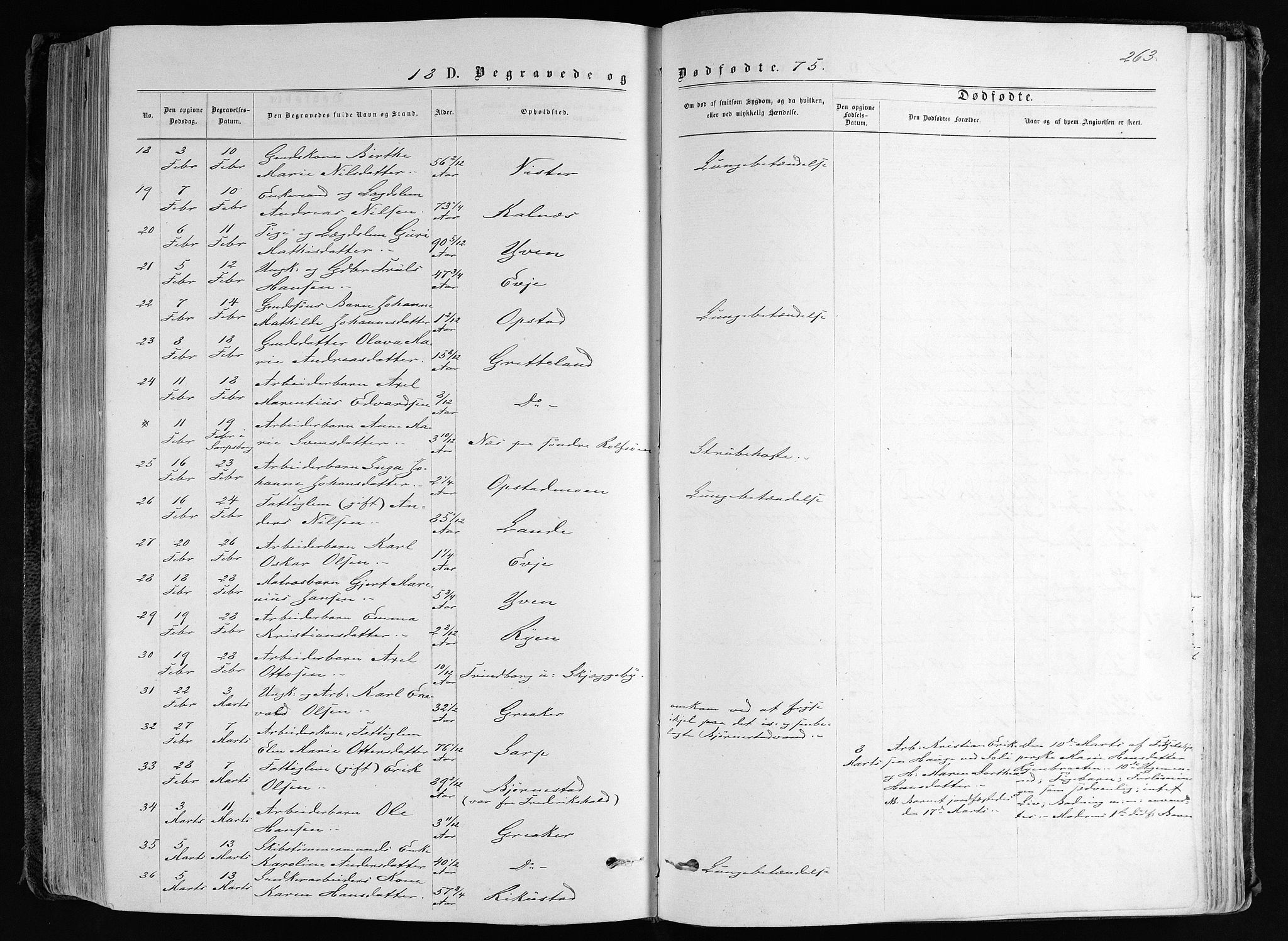 Tune prestekontor Kirkebøker, SAO/A-2007/F/Fa/L0016: Parish register (official) no. 16, 1874-1877, p. 263