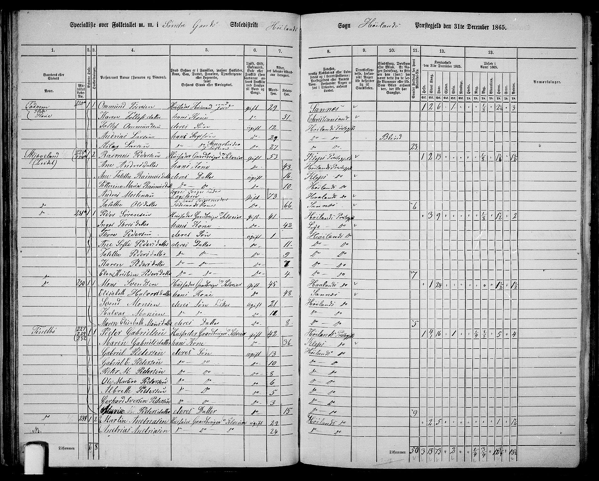 RA, 1865 census for Høyland, 1865, p. 48