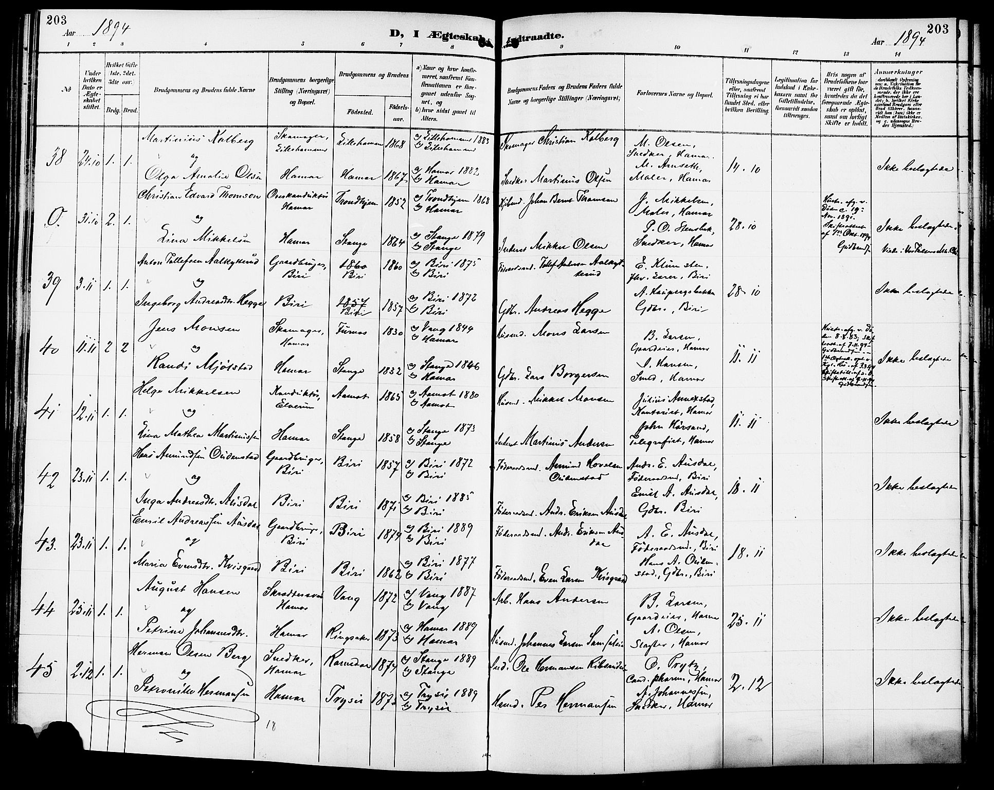 Vang prestekontor, Hedmark, AV/SAH-PREST-008/H/Ha/Haa/L0017: Parish register (official) no. 17, 1890-1899, p. 203