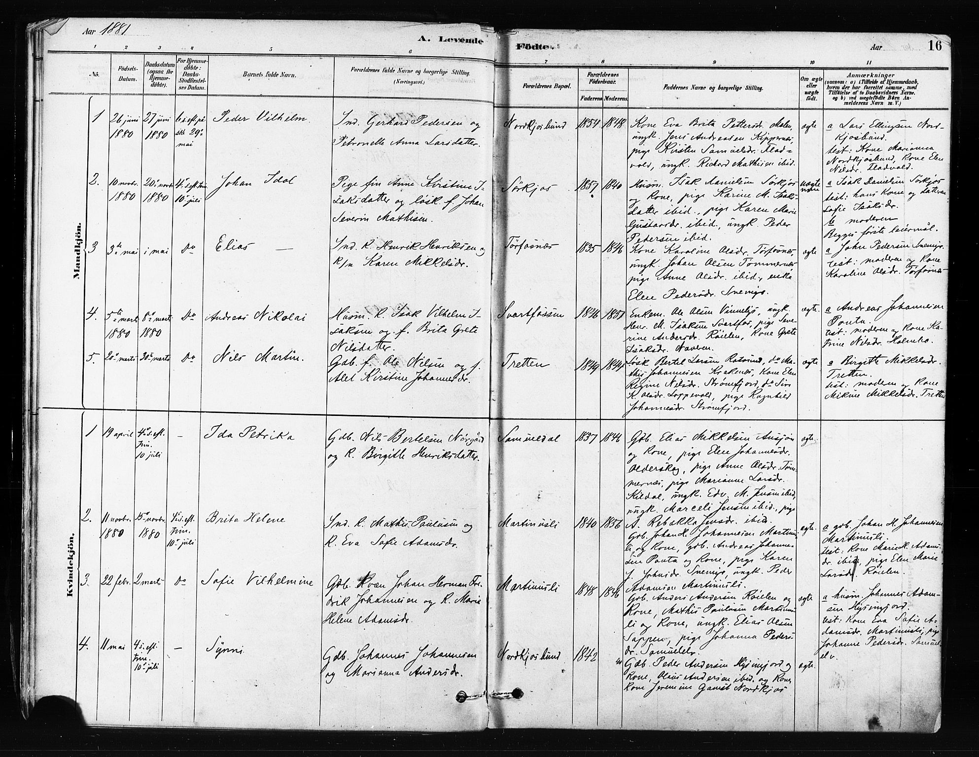 Skjervøy sokneprestkontor, AV/SATØ-S-1300/H/Ha/Haa/L0014kirke: Parish register (official) no. 14, 1878-1894, p. 16