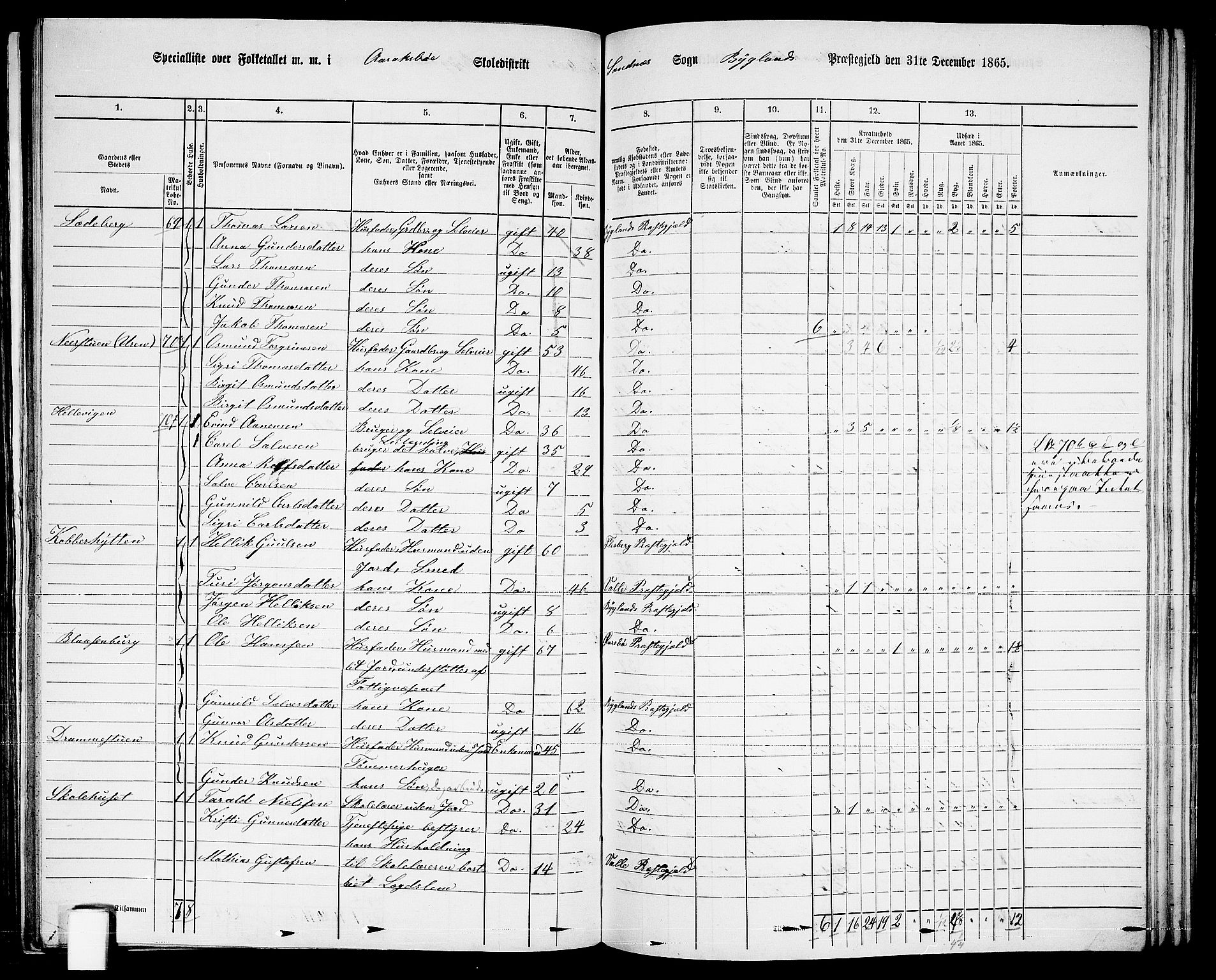 RA, 1865 census for Bygland, 1865, p. 36