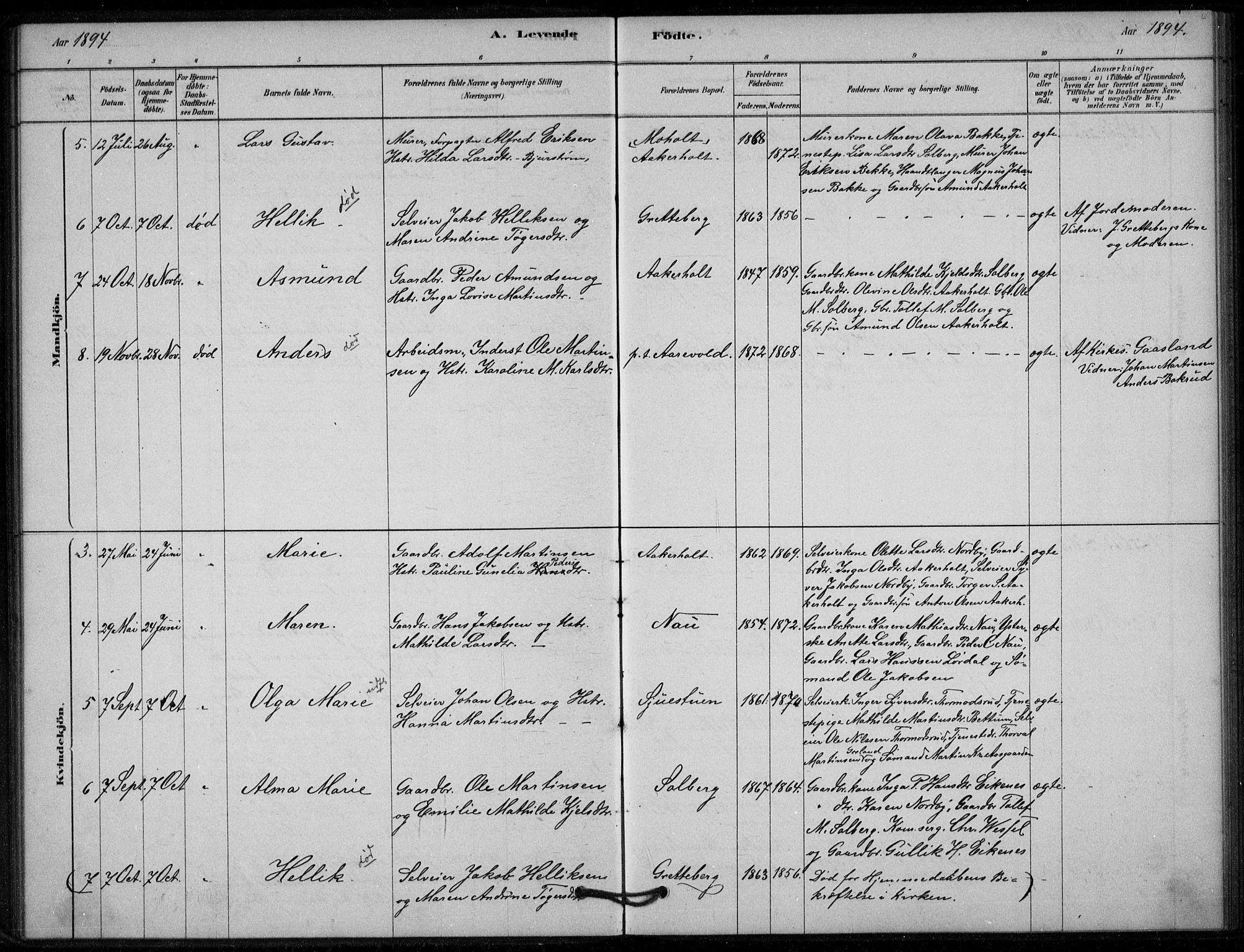 Hof kirkebøker, SAKO/A-64/G/Gb/L0002: Parish register (copy) no. II 2, 1878-1902