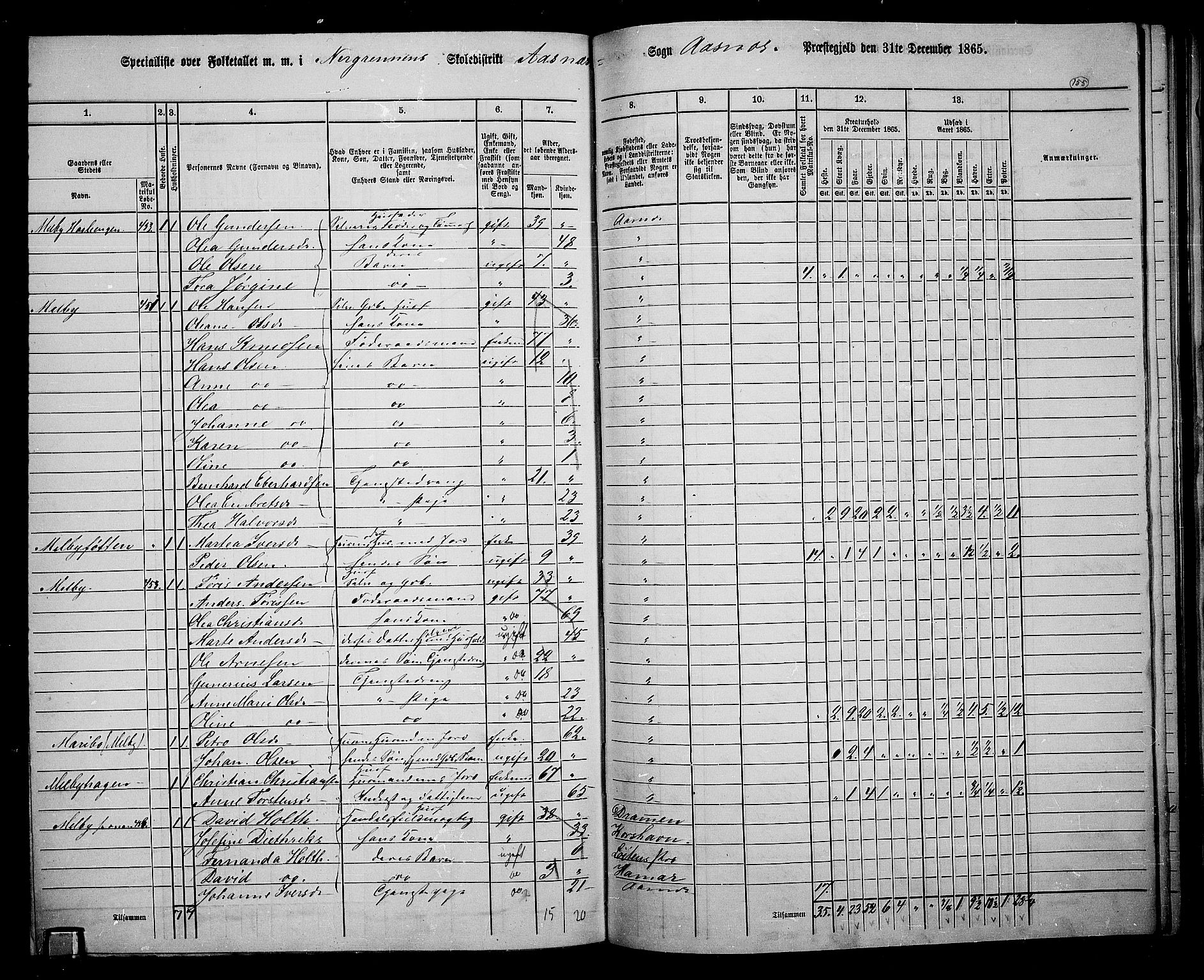 RA, 1865 census for Åsnes, 1865, p. 144