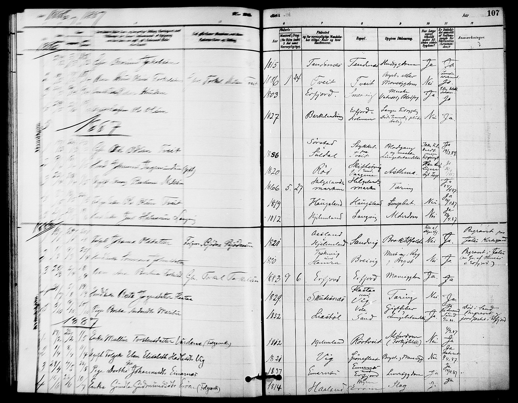 Jelsa sokneprestkontor, SAST/A-101842/01/IV: Parish register (official) no. A 9, 1878-1898, p. 107