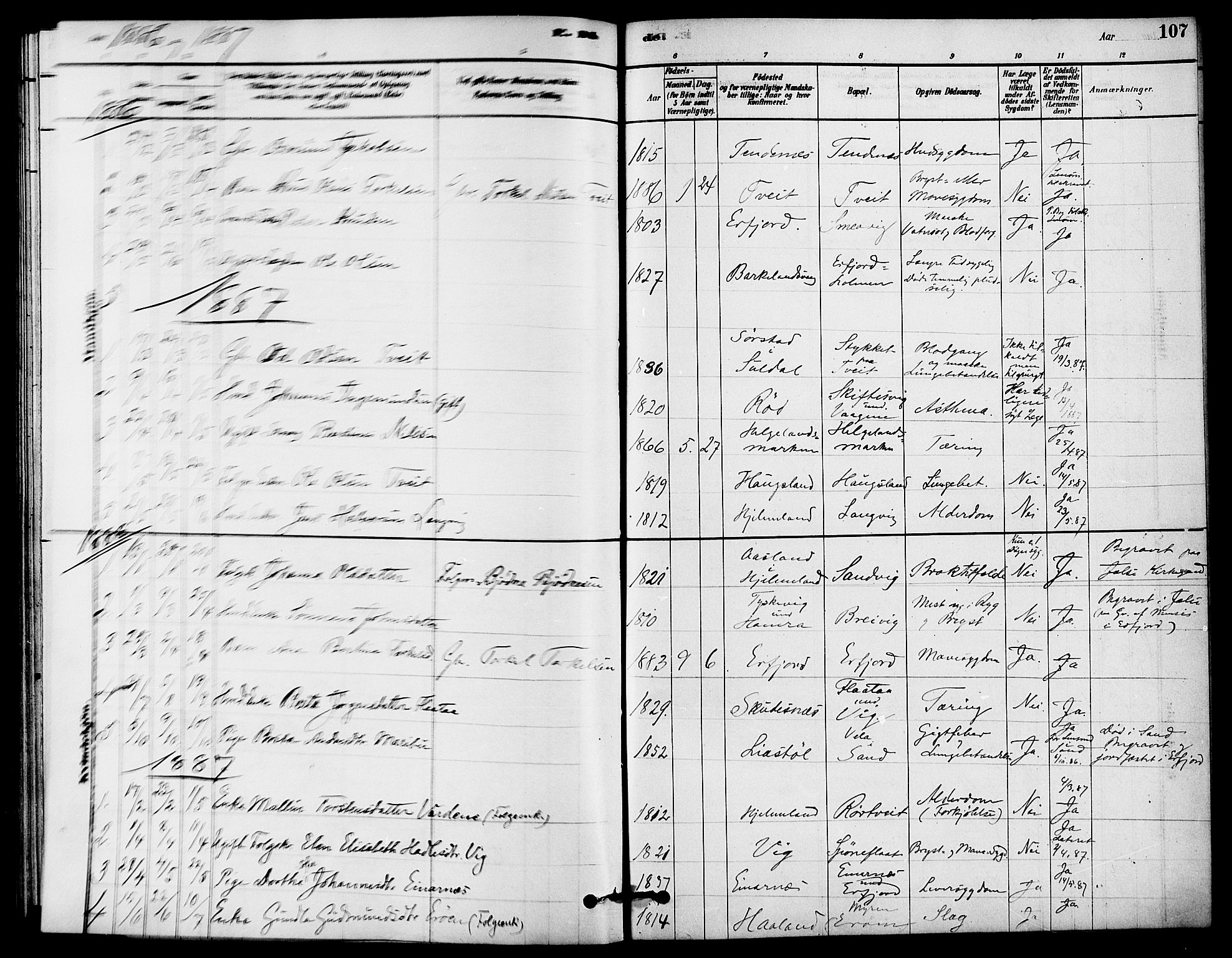 Jelsa sokneprestkontor, AV/SAST-A-101842/01/IV: Parish register (official) no. A 9, 1878-1898, p. 107