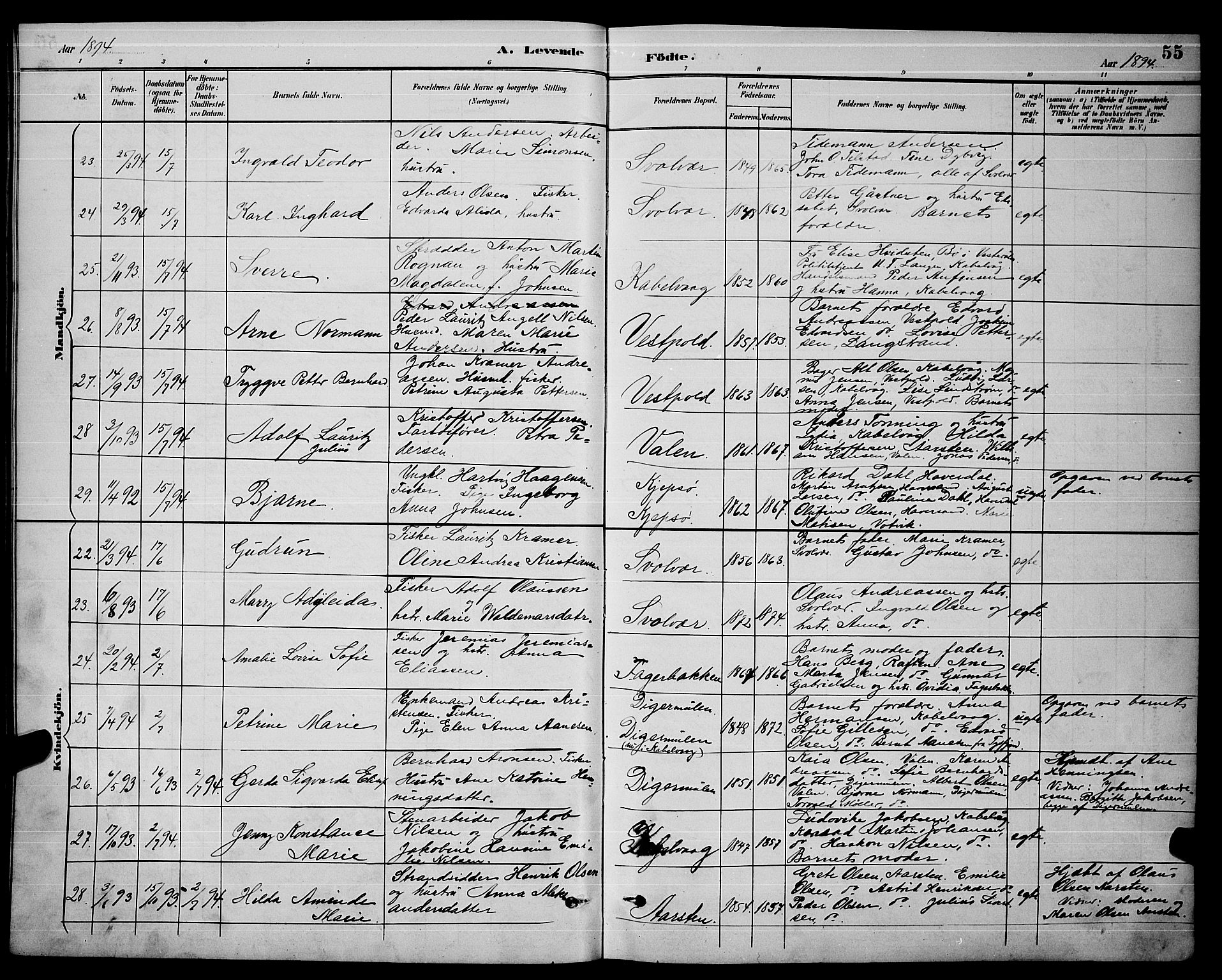 Ministerialprotokoller, klokkerbøker og fødselsregistre - Nordland, SAT/A-1459/874/L1077: Parish register (copy) no. 874C06, 1891-1900, p. 55