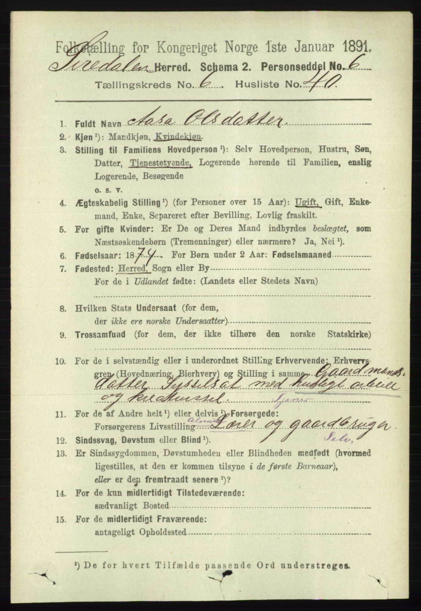 RA, 1891 census for 1046 Sirdal, 1891, p. 1913