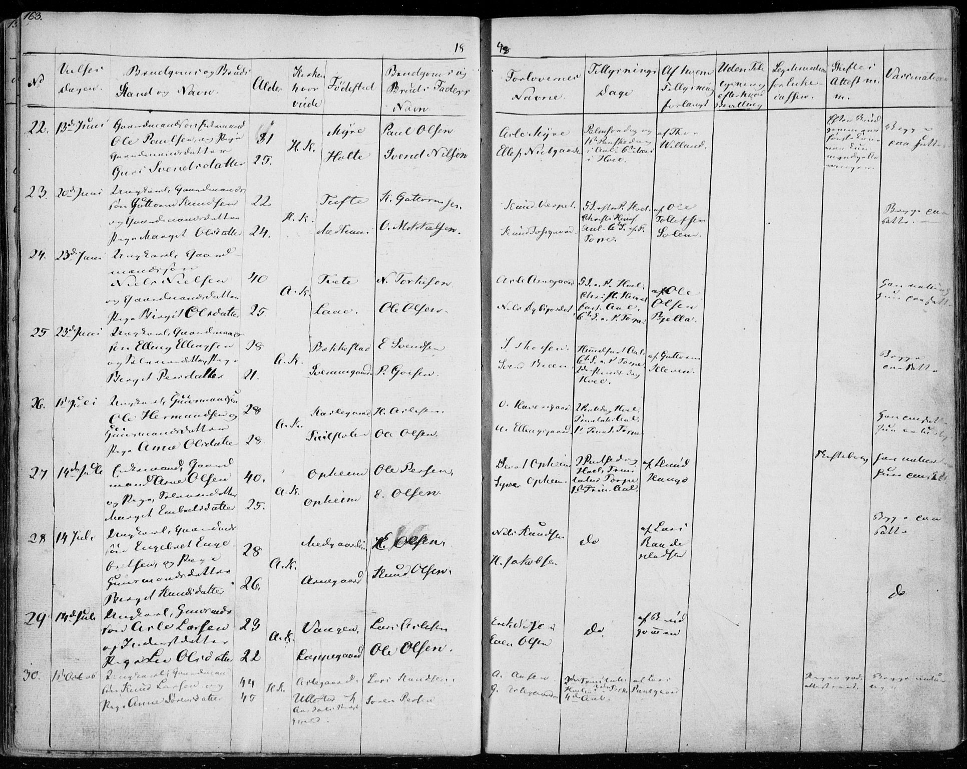 Ål kirkebøker, SAKO/A-249/F/Fa/L0005: Parish register (official) no. I 5, 1825-1848, p. 163