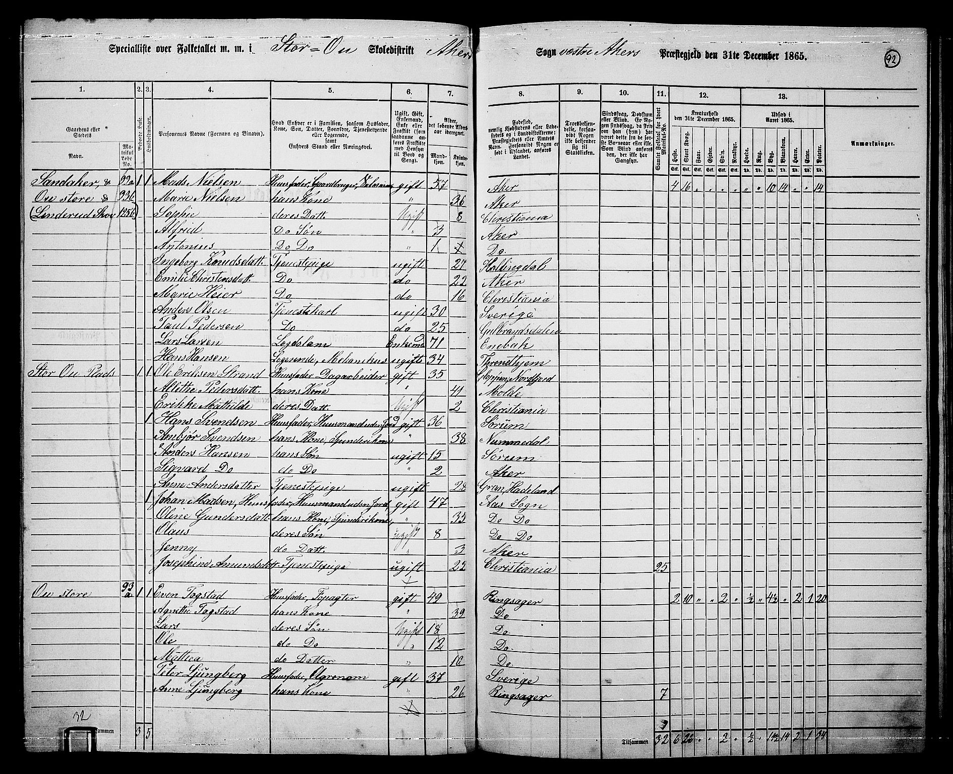 RA, 1865 census for Vestre Aker, 1865, p. 260