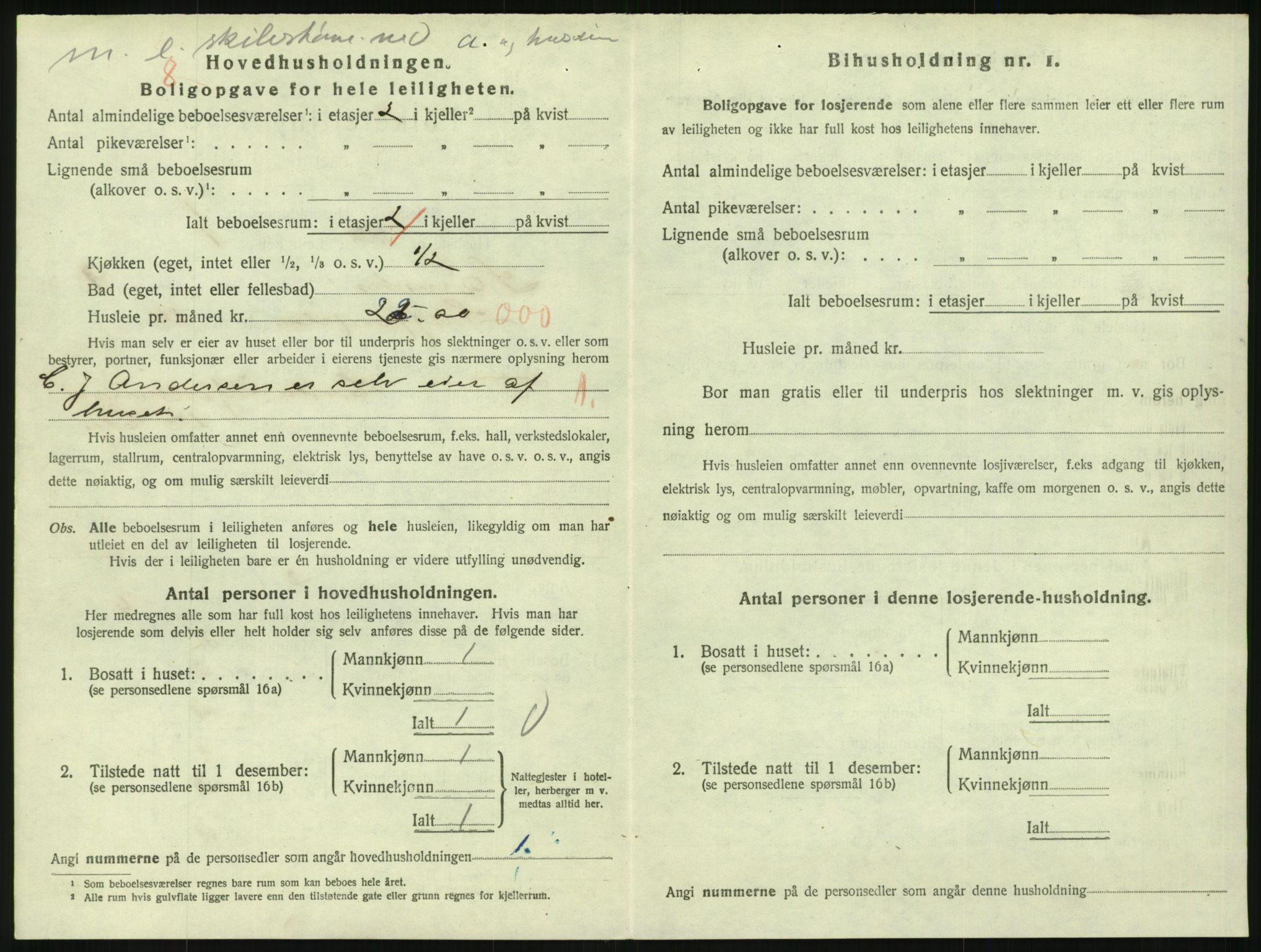 SAKO, 1920 census for Larvik, 1920, p. 7197