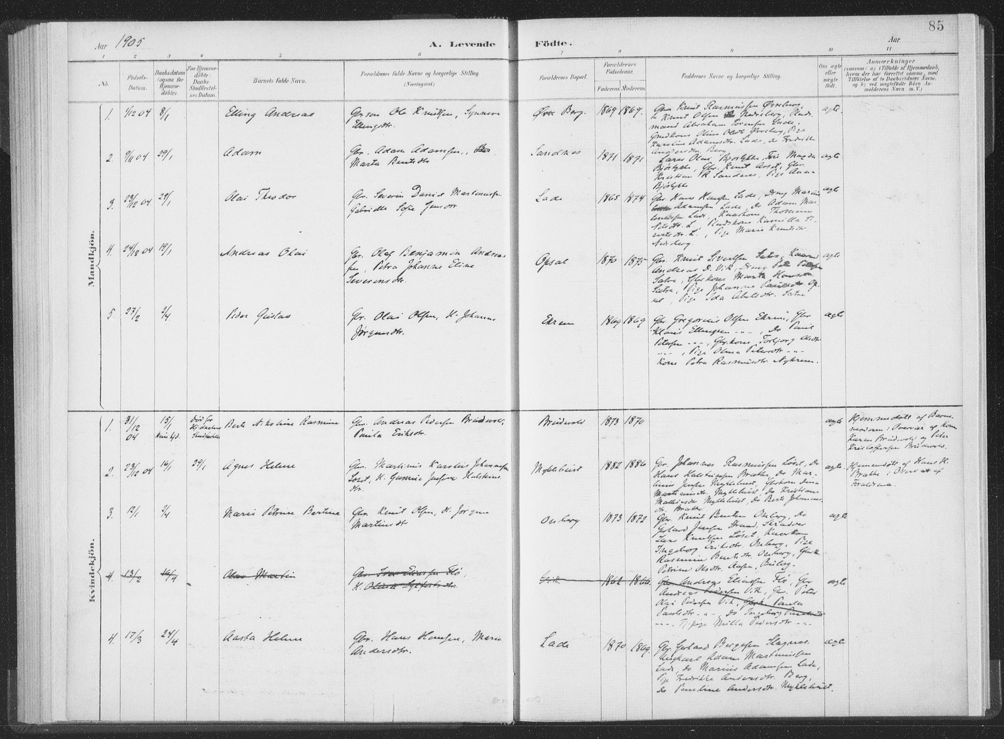 Ministerialprotokoller, klokkerbøker og fødselsregistre - Møre og Romsdal, AV/SAT-A-1454/502/L0025: Parish register (official) no. 502A03, 1885-1909, p. 85