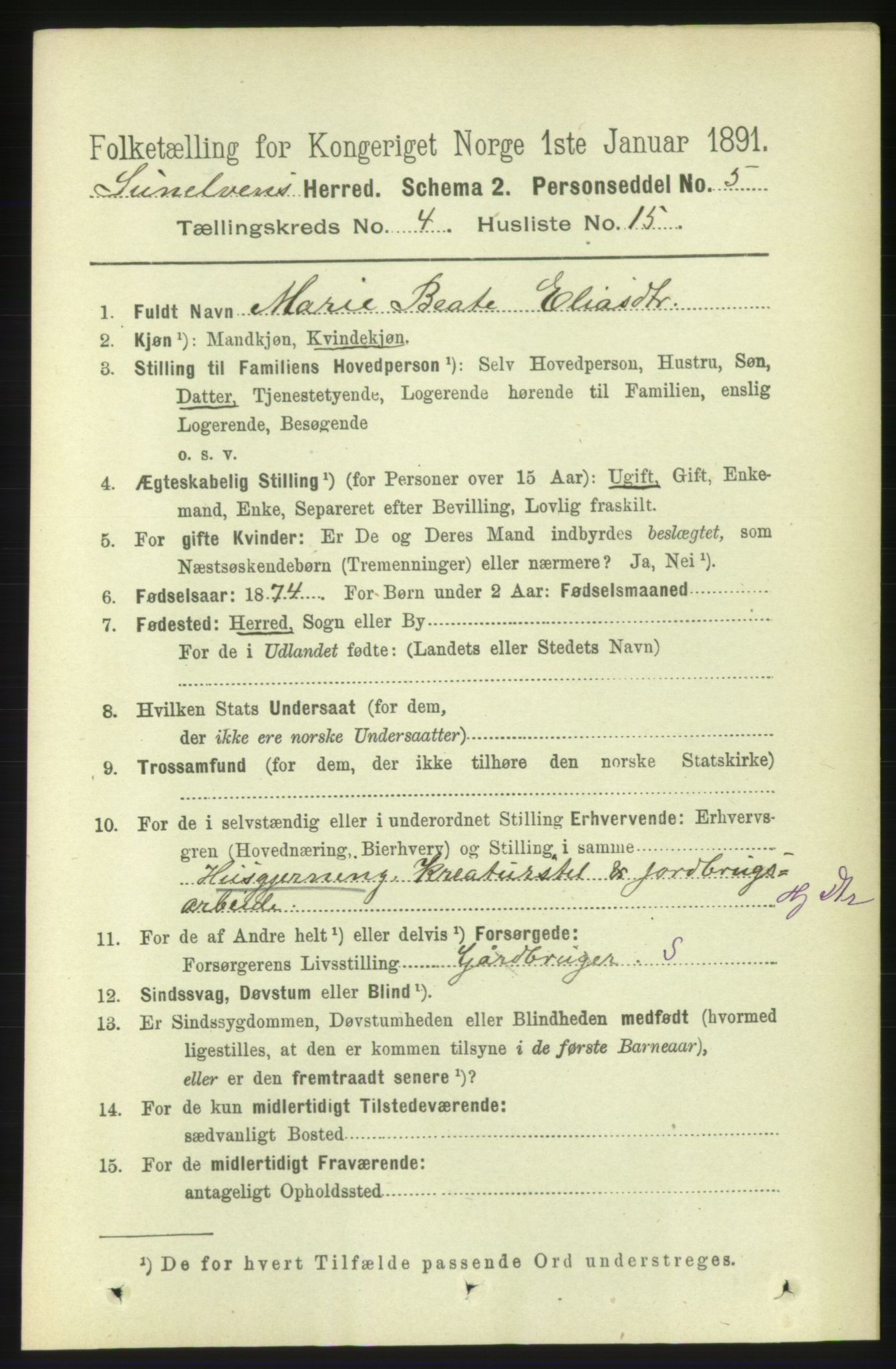 RA, 1891 census for 1523 Sunnylven, 1891, p. 981