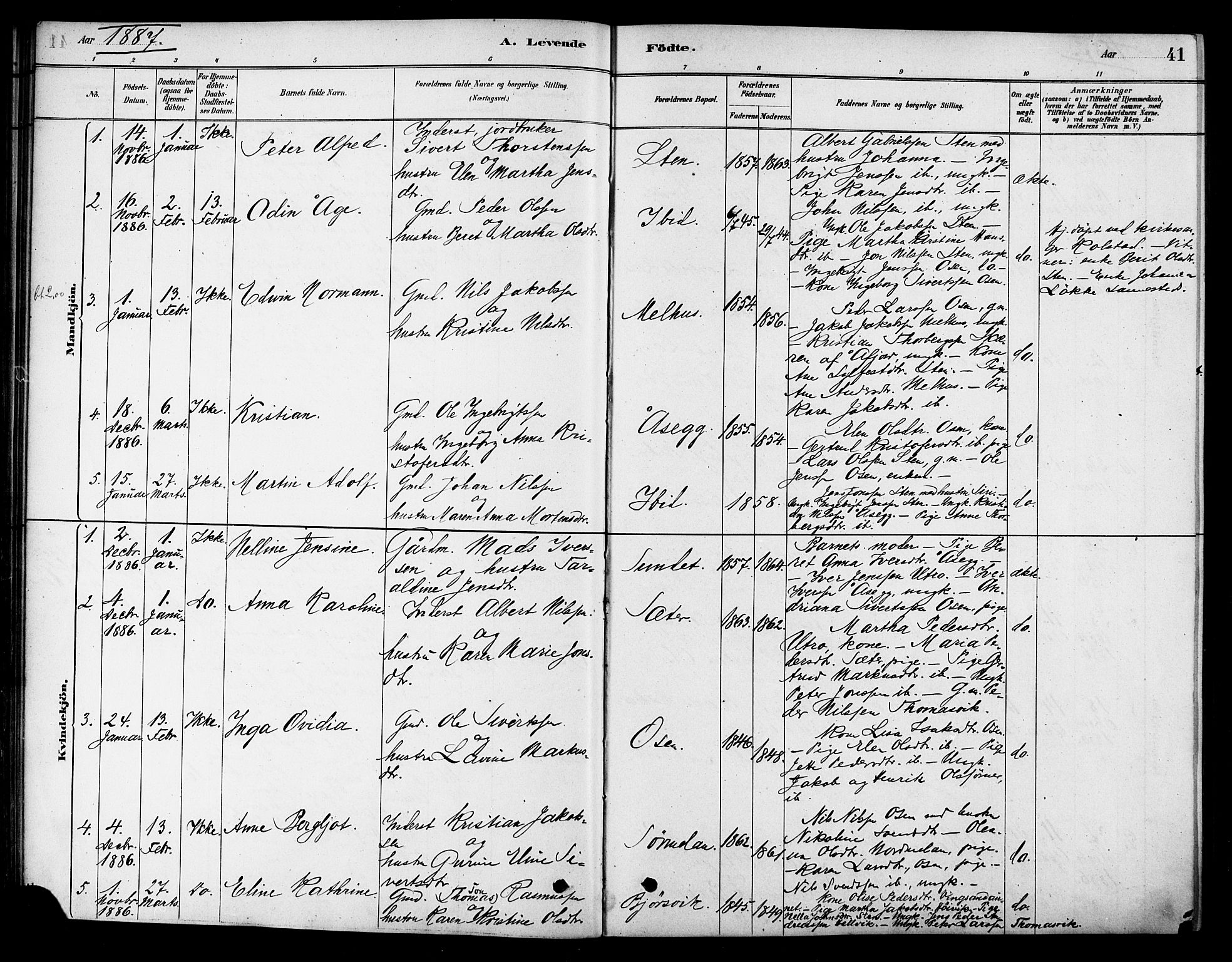 Ministerialprotokoller, klokkerbøker og fødselsregistre - Sør-Trøndelag, SAT/A-1456/658/L0722: Parish register (official) no. 658A01, 1879-1896, p. 41
