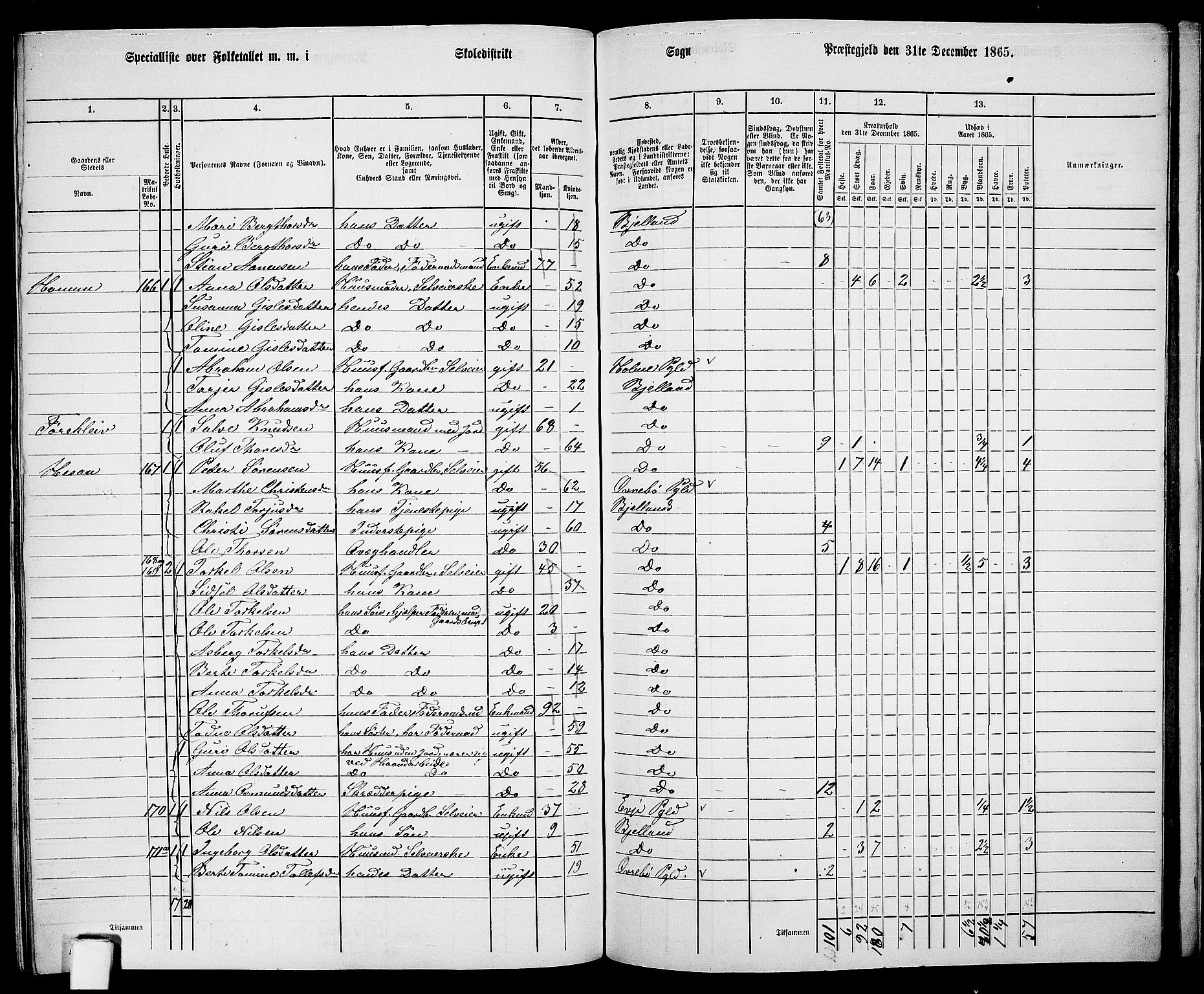 RA, 1865 census for Bjelland, 1865, p. 100