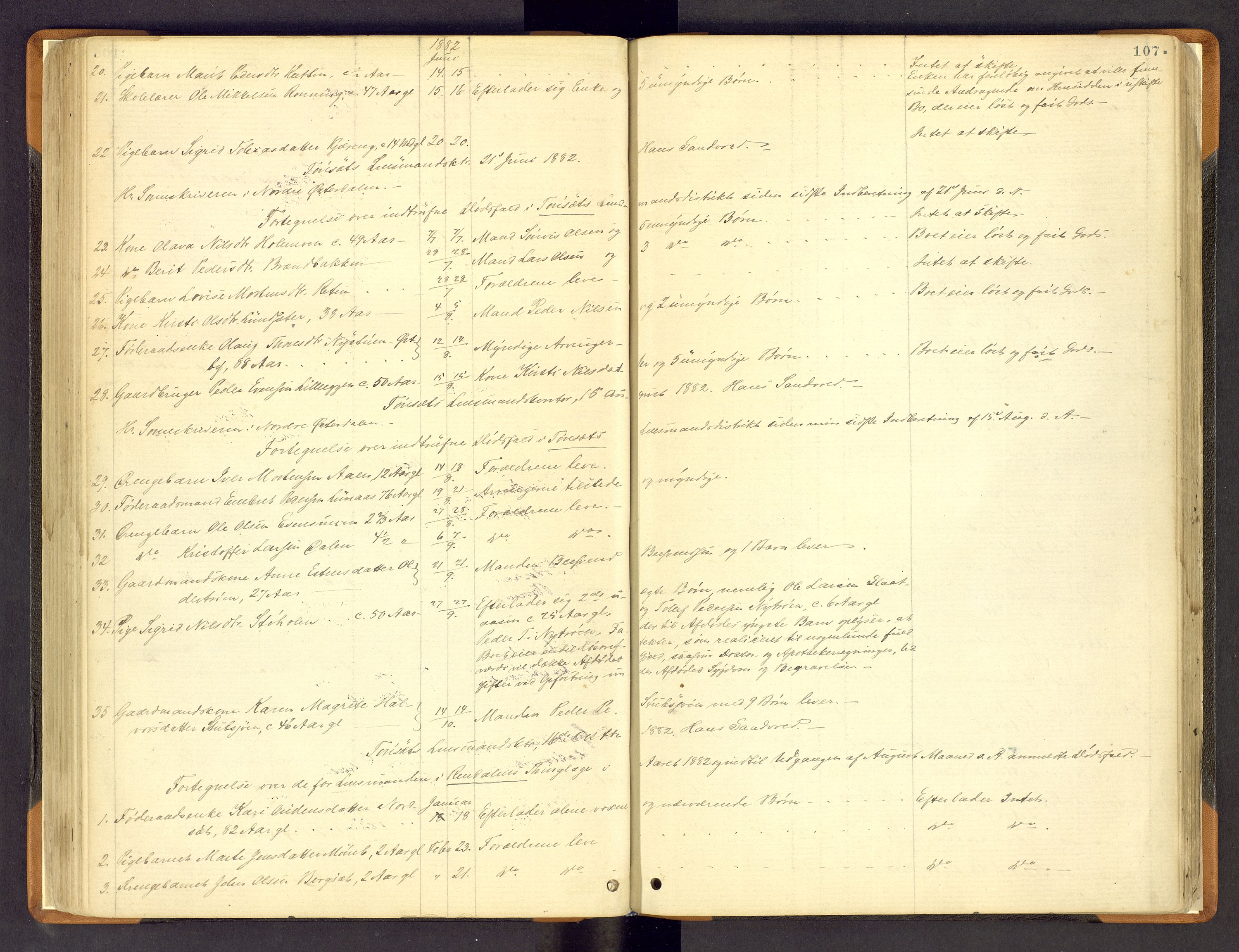 Nord-Østerdal tingrett, SAH/TING-020/H/Hi/L0002/0002: Forskjellig vedrørende tinglysing / Korrigering av grunnboka hvor hjemmelshaver mangler, er død m.v., 1875-1886, p. 107