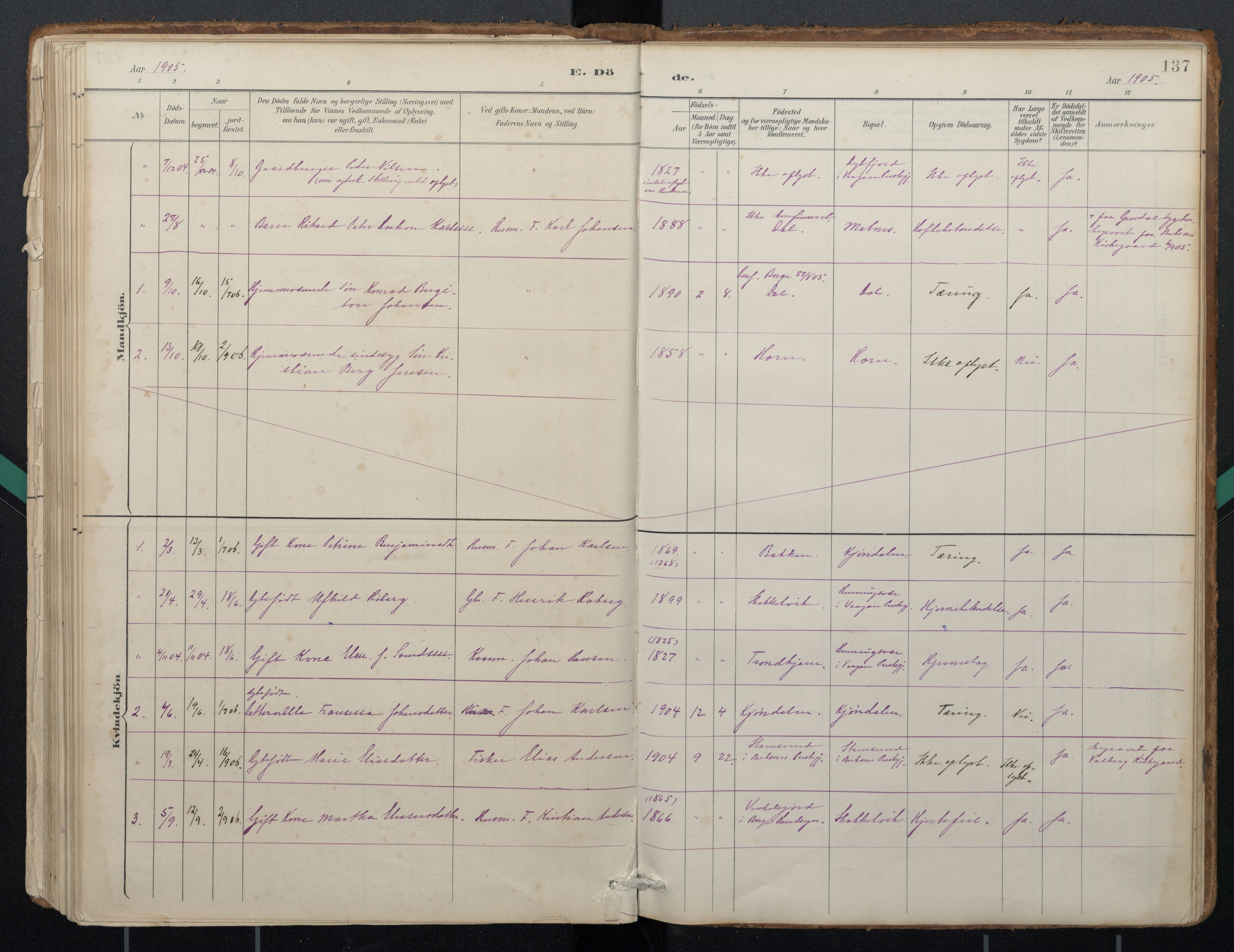 Ministerialprotokoller, klokkerbøker og fødselsregistre - Nordland, AV/SAT-A-1459/884/L1193: Parish register (official) no. 884A01, 1888-1905, p. 137