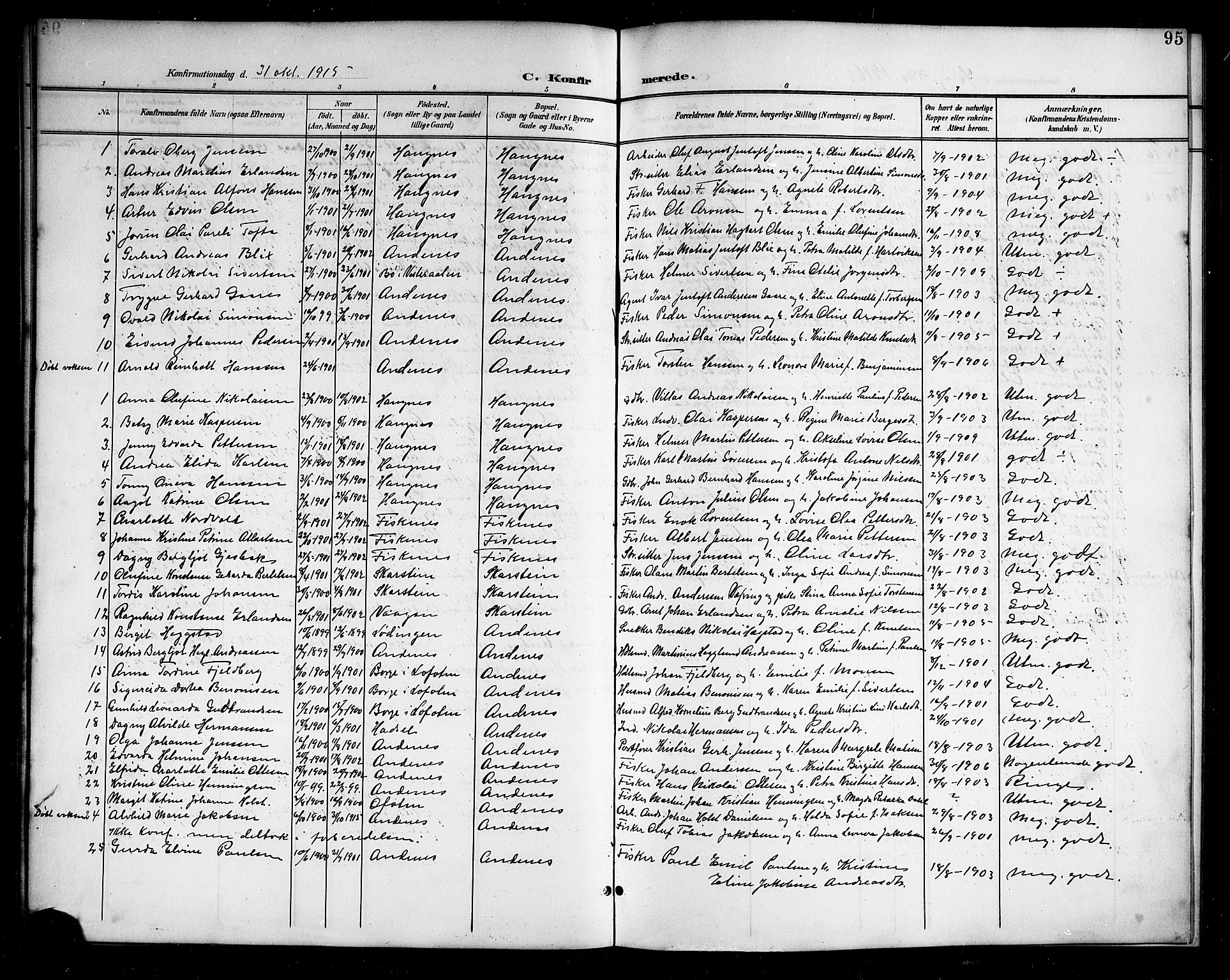 Ministerialprotokoller, klokkerbøker og fødselsregistre - Nordland, SAT/A-1459/899/L1449: Parish register (copy) no. 899C04, 1900-1918, p. 95
