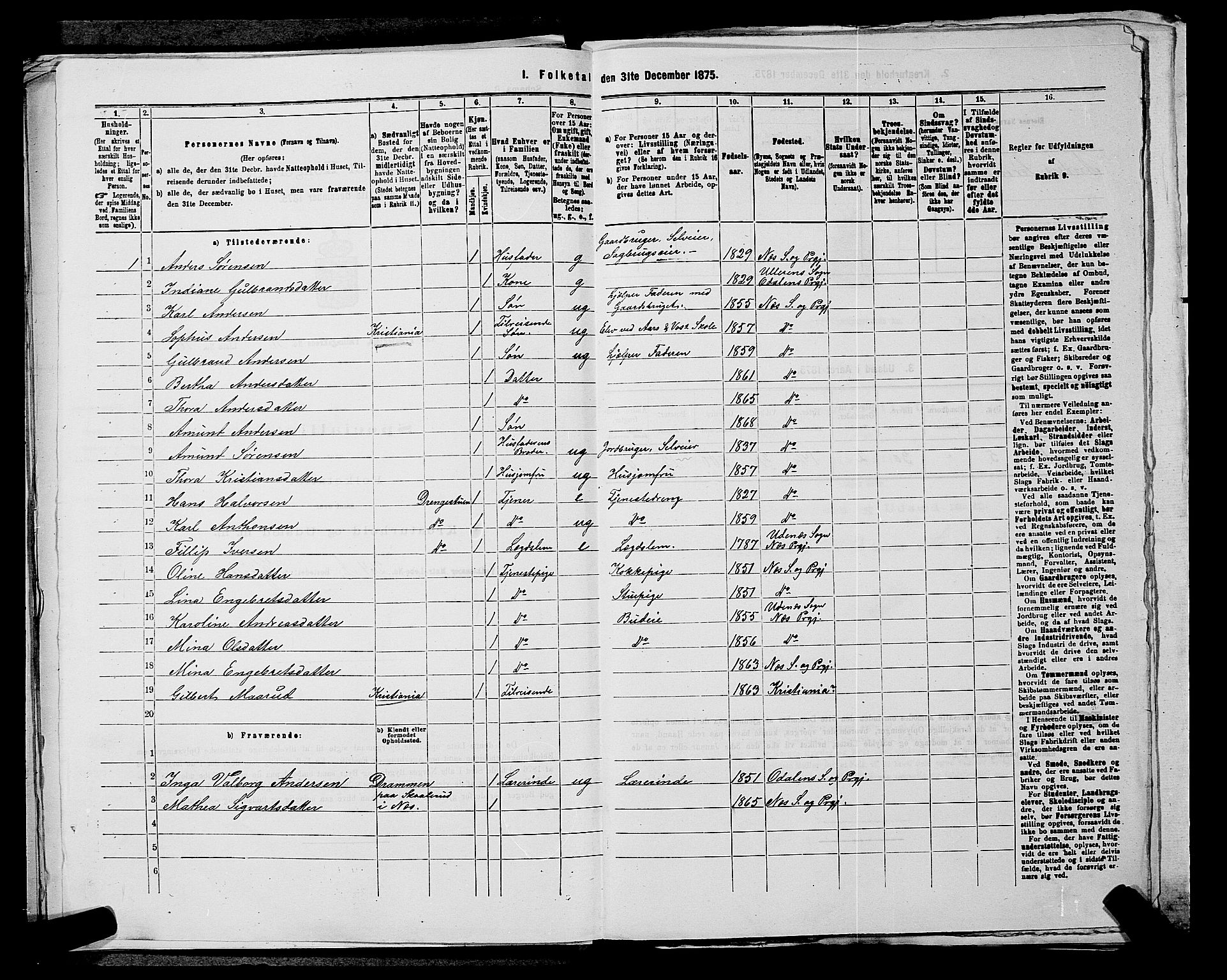 RA, 1875 census for 0236P Nes, 1875, p. 2030